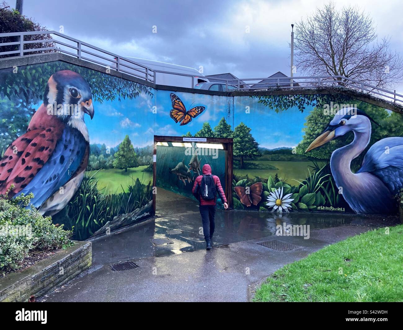 Tolworth, London. March 24, 2023. A man walks through a bypass decorated with street art in Tolworth, London. Credit: Katie Collins/ Stockimo - Smartphone Captured Stock Image