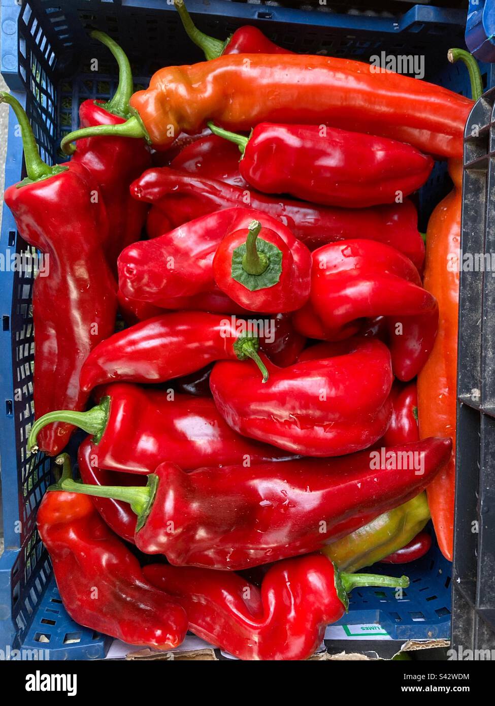 Tolworth, London. March 24, 2023. Red peppers for sale outside a shop in Tolworth, London. Credit: Katie Collins/ Stockimo - Smartphone Captured Stock Image
