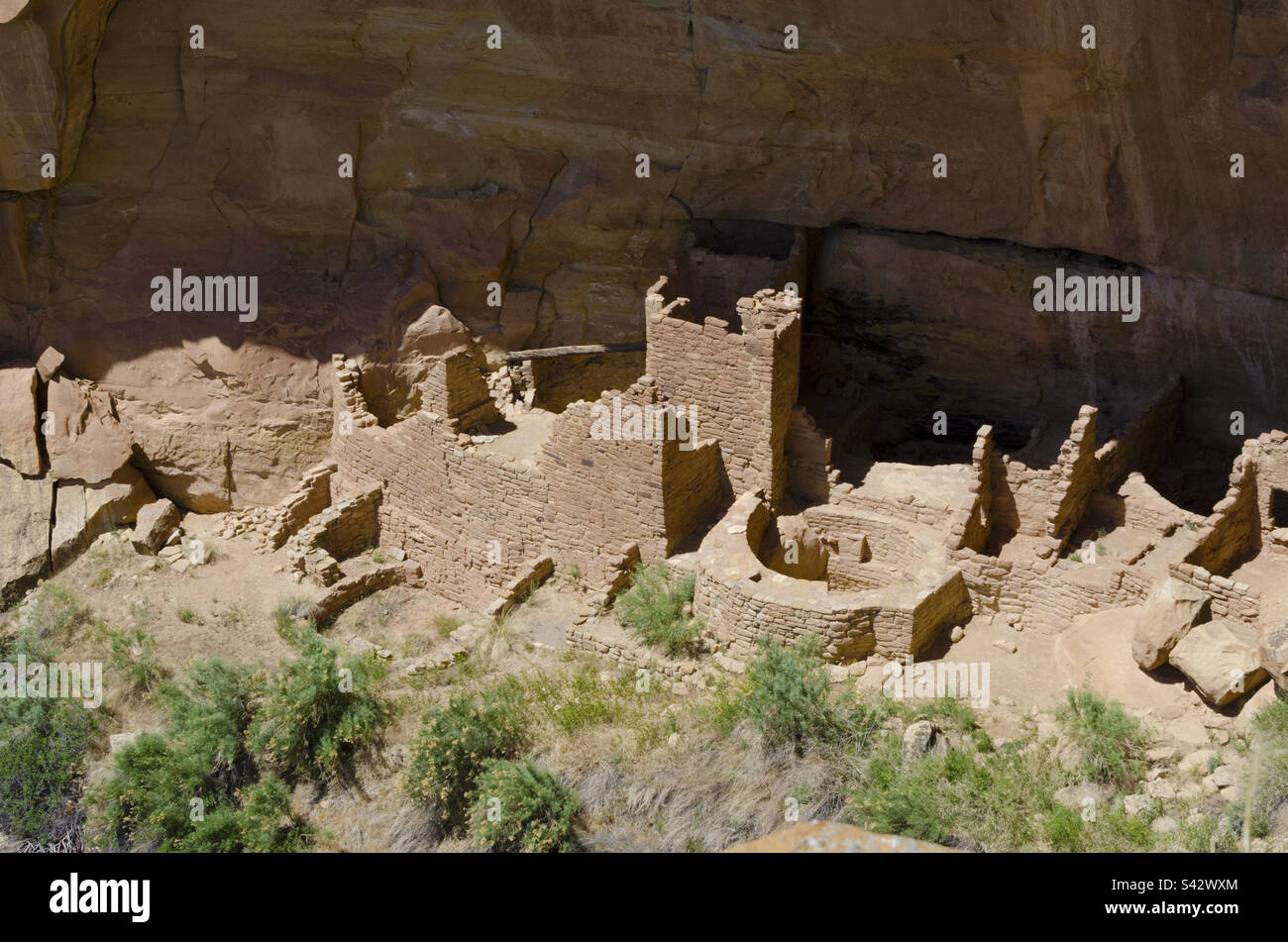 Homes in Mesa Verde national park Stock Photo