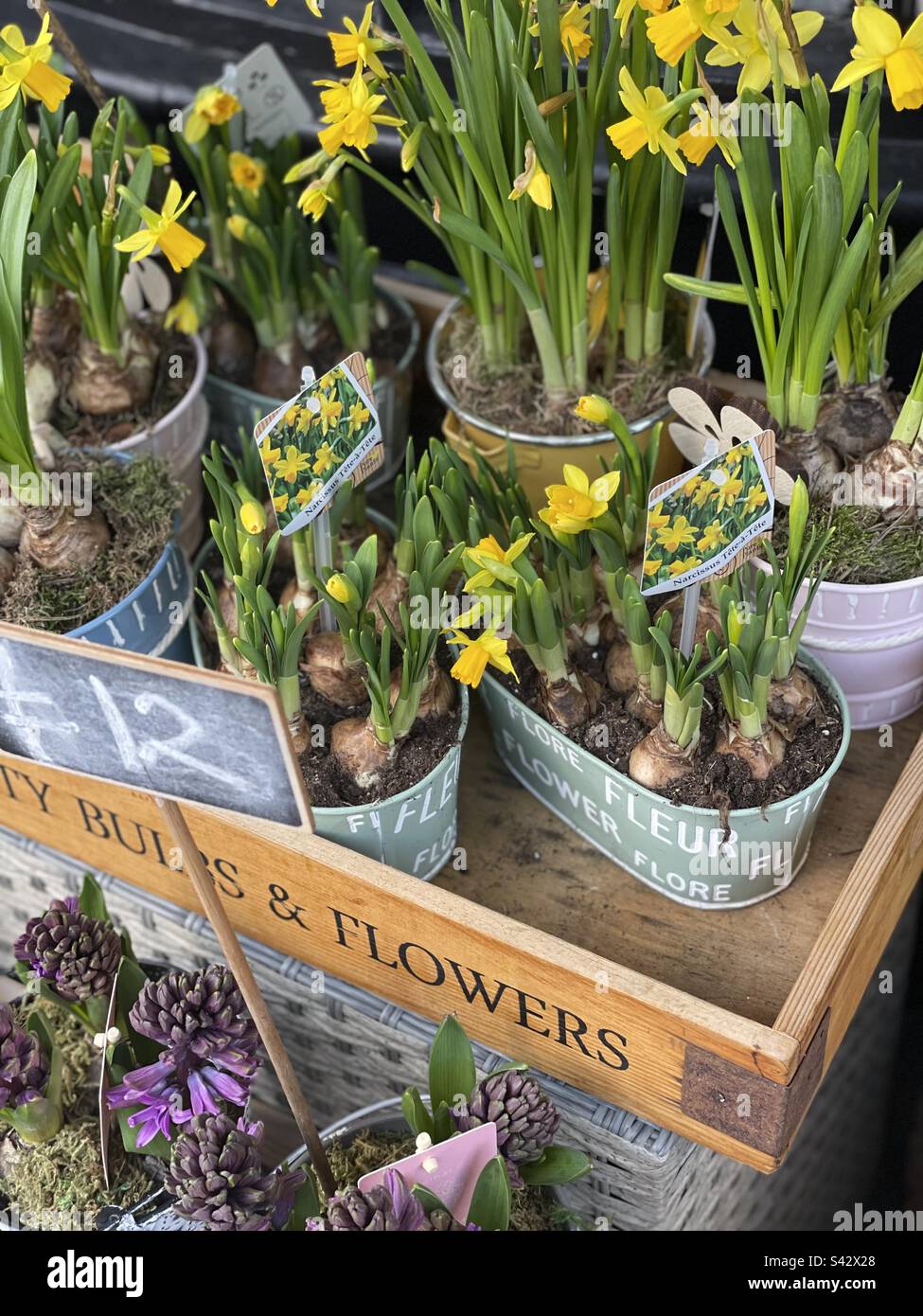 Spring - Smartphone Captured Stock Image