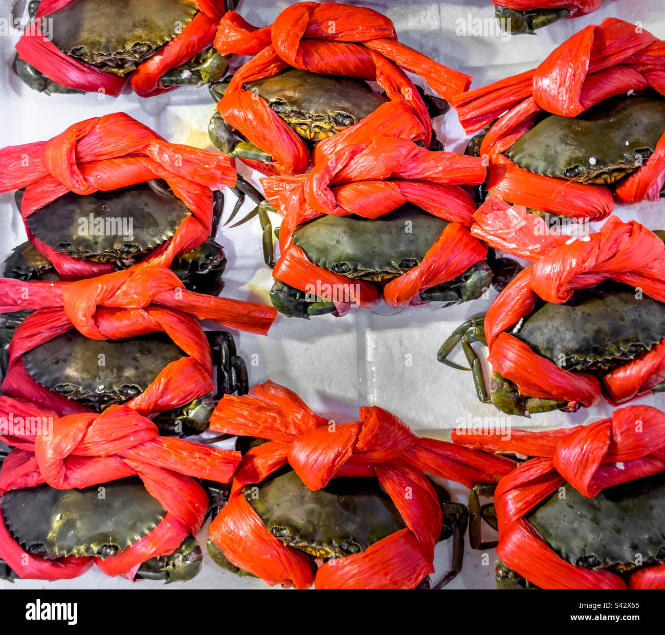 Live crabs dressed up and secured at the local market in Hong Kong Stock Photo