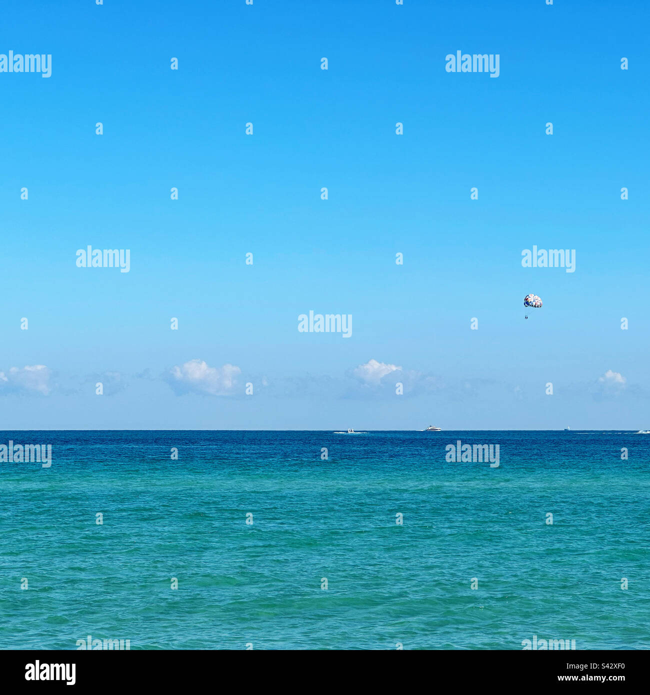 Paragliders over the beach, South Beach, Miami Beach, Florida, United States - Smartphone Captured Stock Image