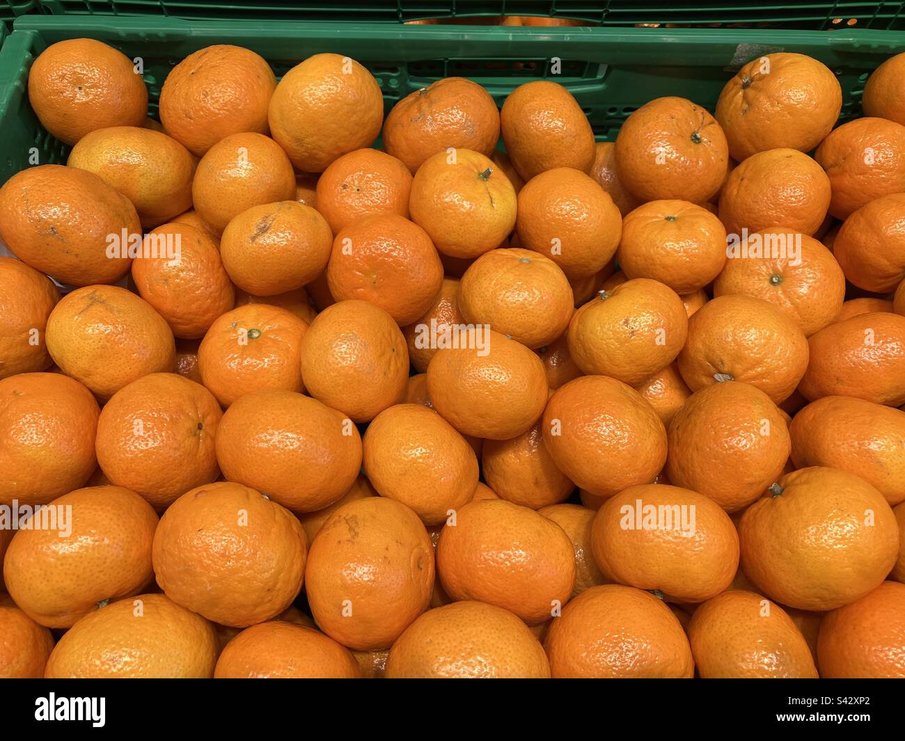 Organic fresh tangerine oranges on display for sale in a supermarket, Alicante Province, Spain Stock Photo