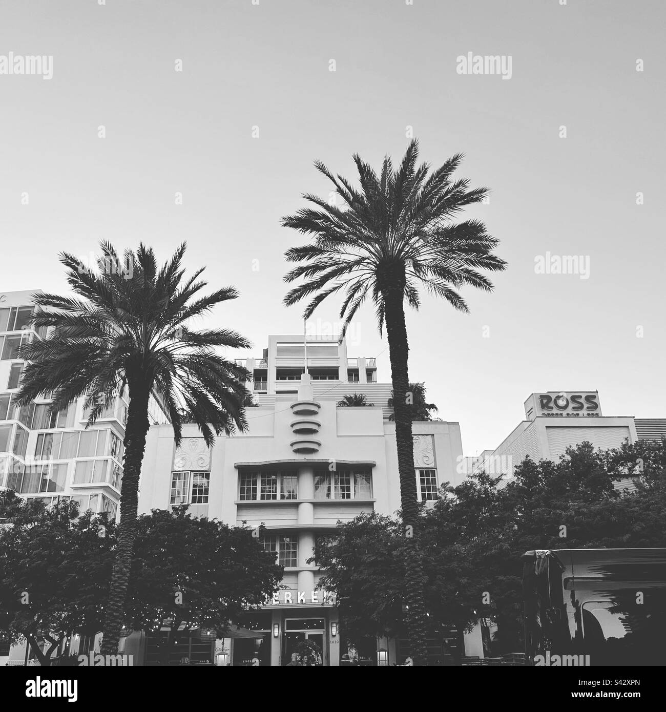 January, 2023, Palm trees and Art Deco buildings, Collin Avenue, South Beach, Miami Beach