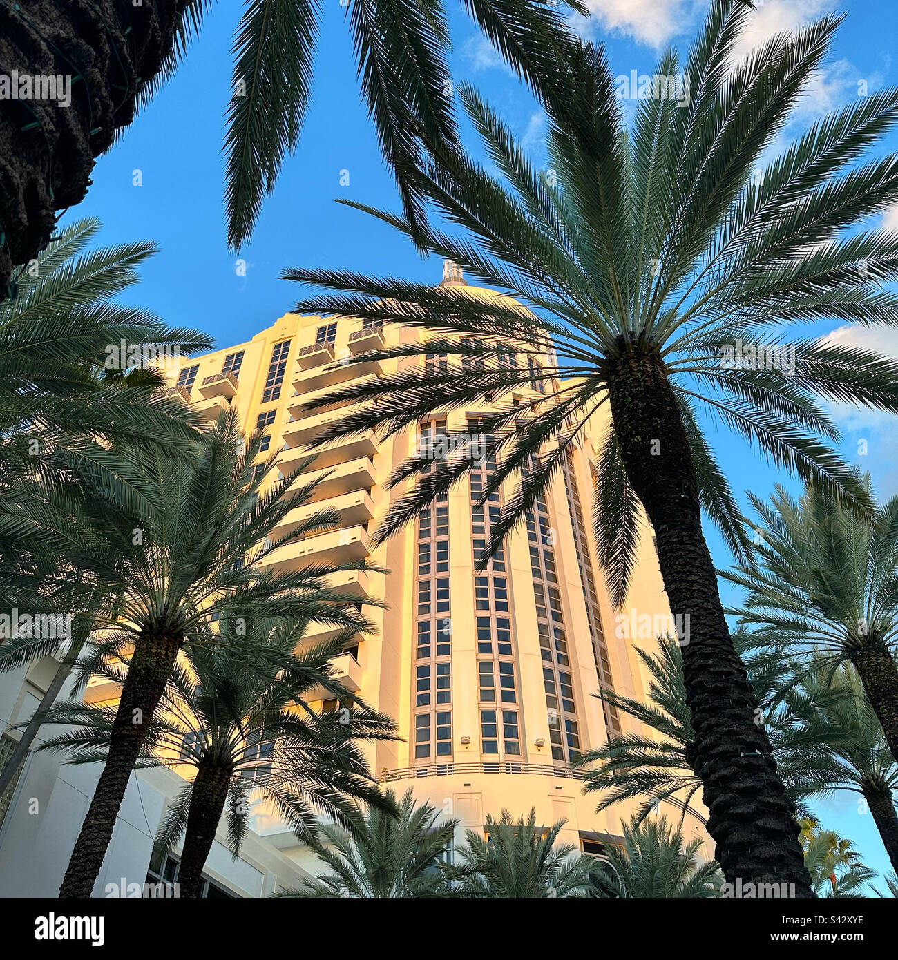 January, 2023, Loews Miami Beach Hotel, South Beach, Miami Beach, Florida, United States, North America - Smartphone Captured Stock Image