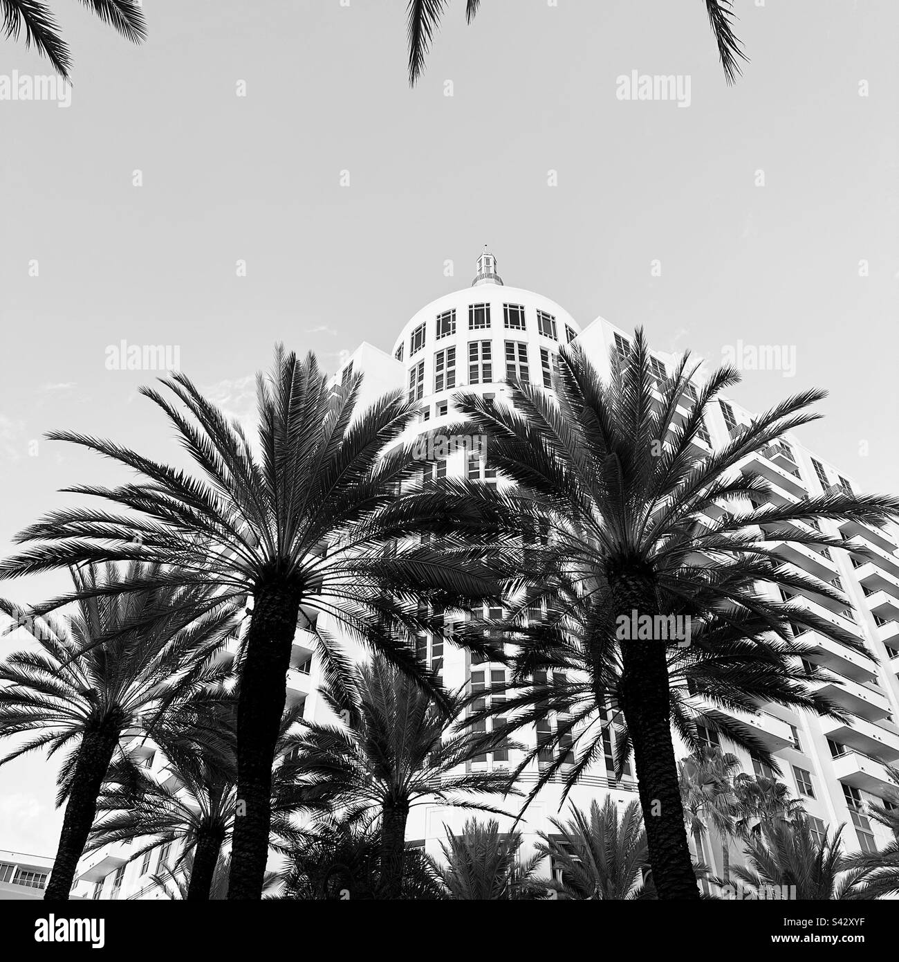 January, 2023, Loews Miami Beach Hotel, South Beach, Miami Beach