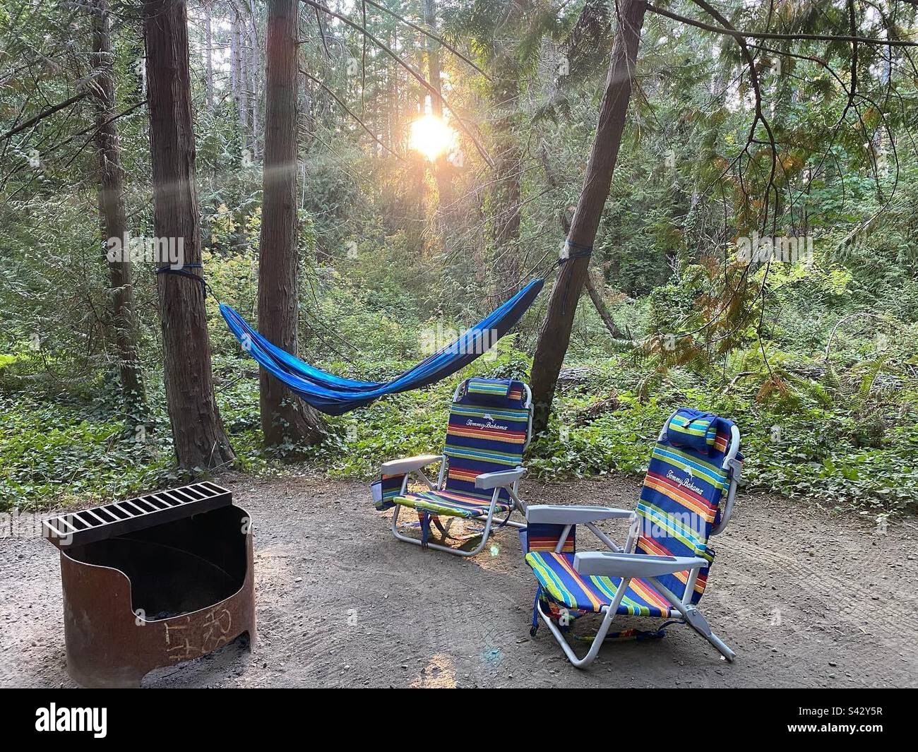Camping Vancouver Island - setting up camp as the sun was setting. - Smartphone Captured Stock Image