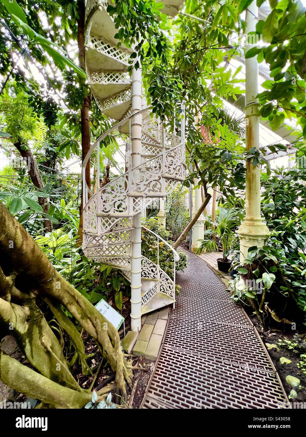 Botanical Garden Copenhagen, Denmark Stock Photo - Alamy