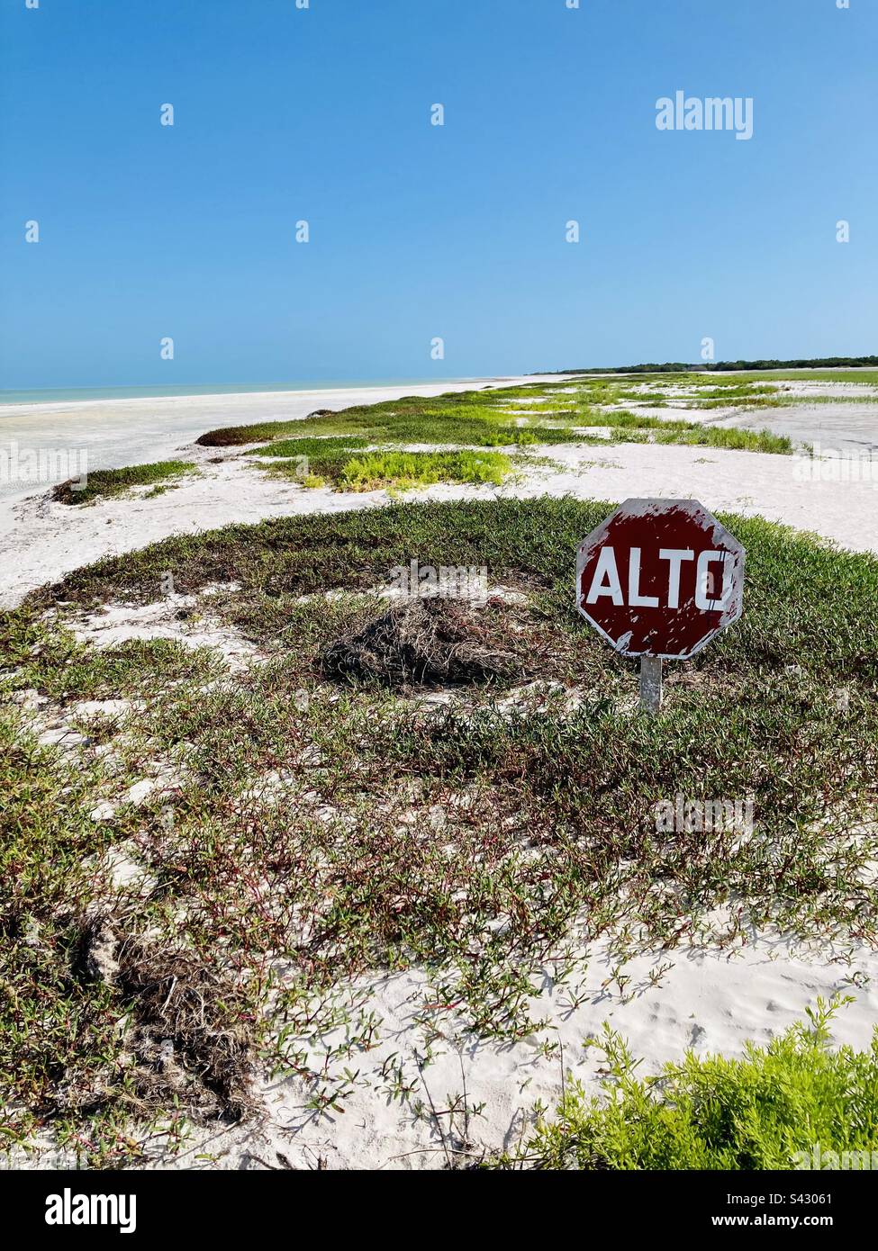 Punta Mosquito protected reserve, Holbox, Quintana Roo, Mexico. - Smartphone Captured Stock Image