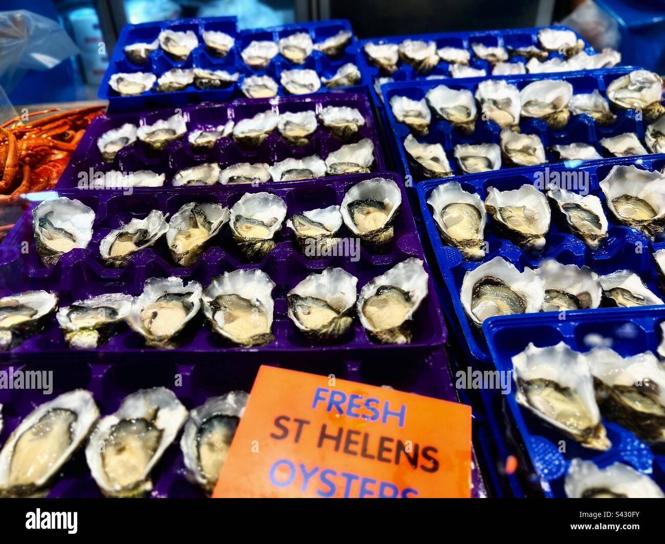 Fresh St Helens Oysters Queen Victoria Market Melbourne, Australia