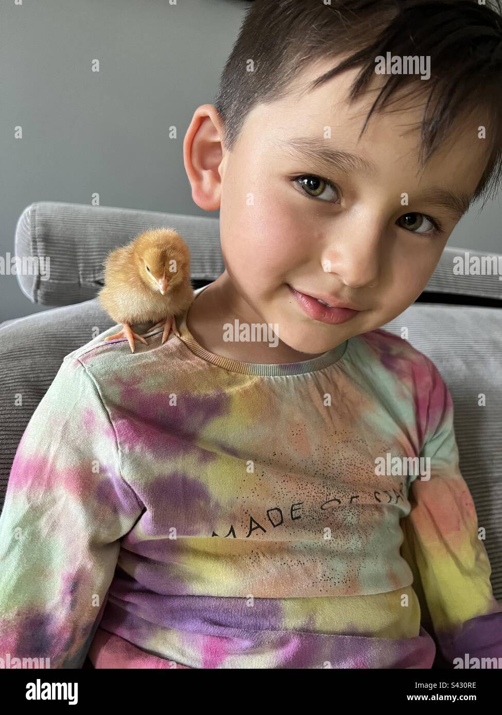 Boy with chick on his shoulder Stock Photo