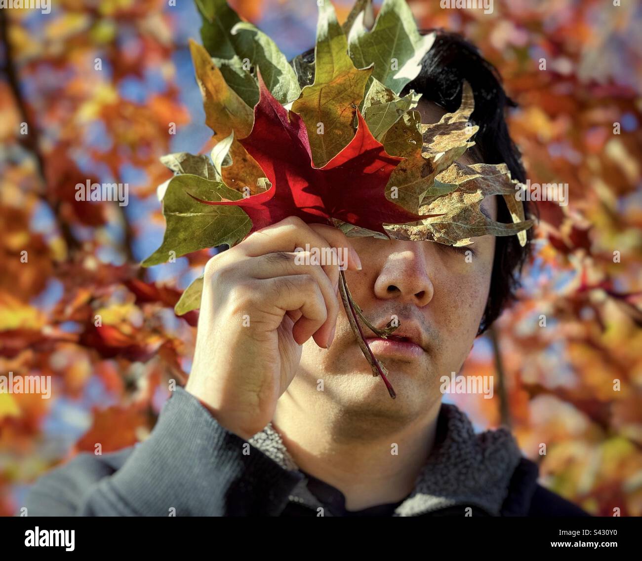 Holding leaves in front of face hi-res stock photography and images - Alamy