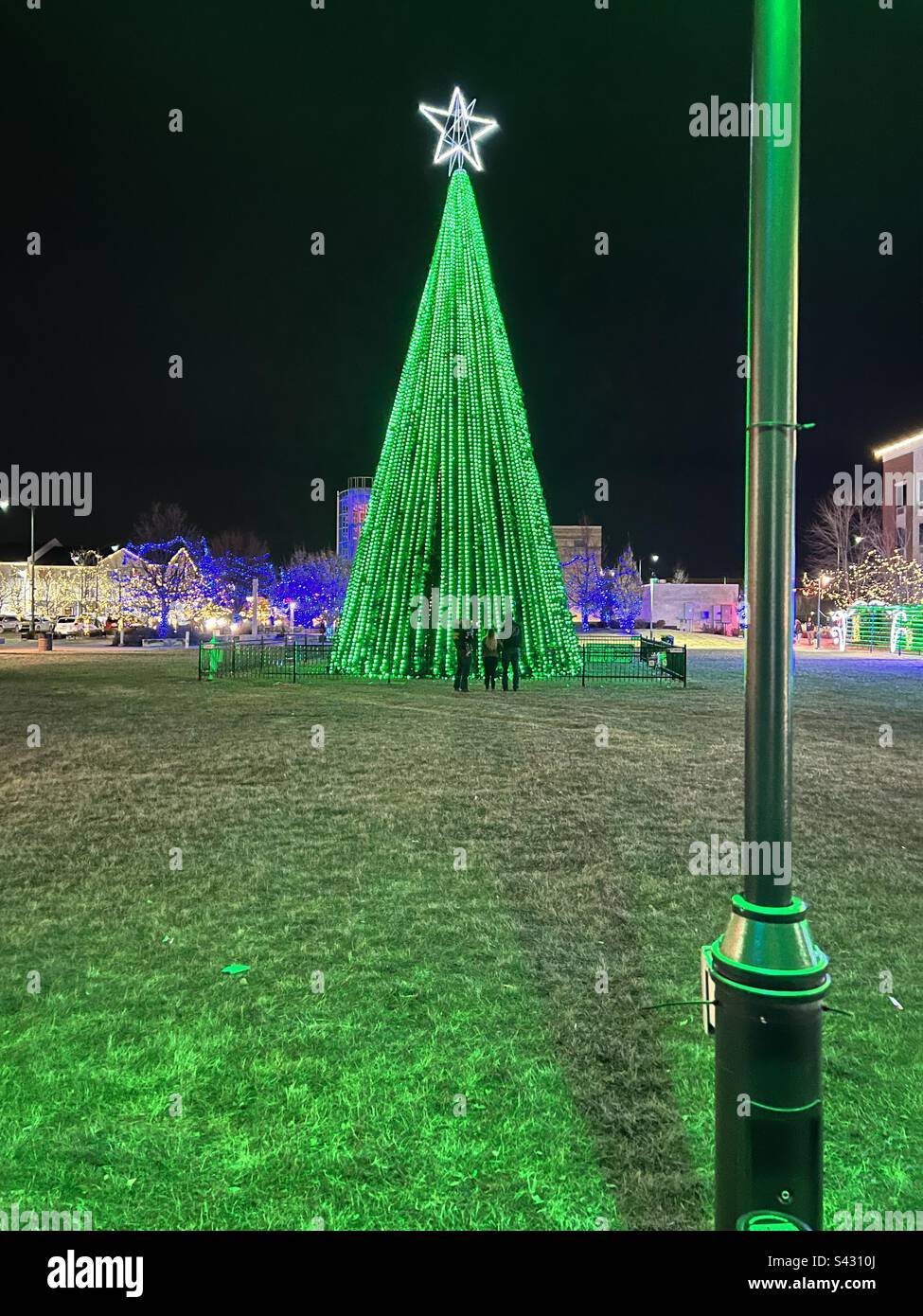Green light Christmas tree Stock Photo Alamy