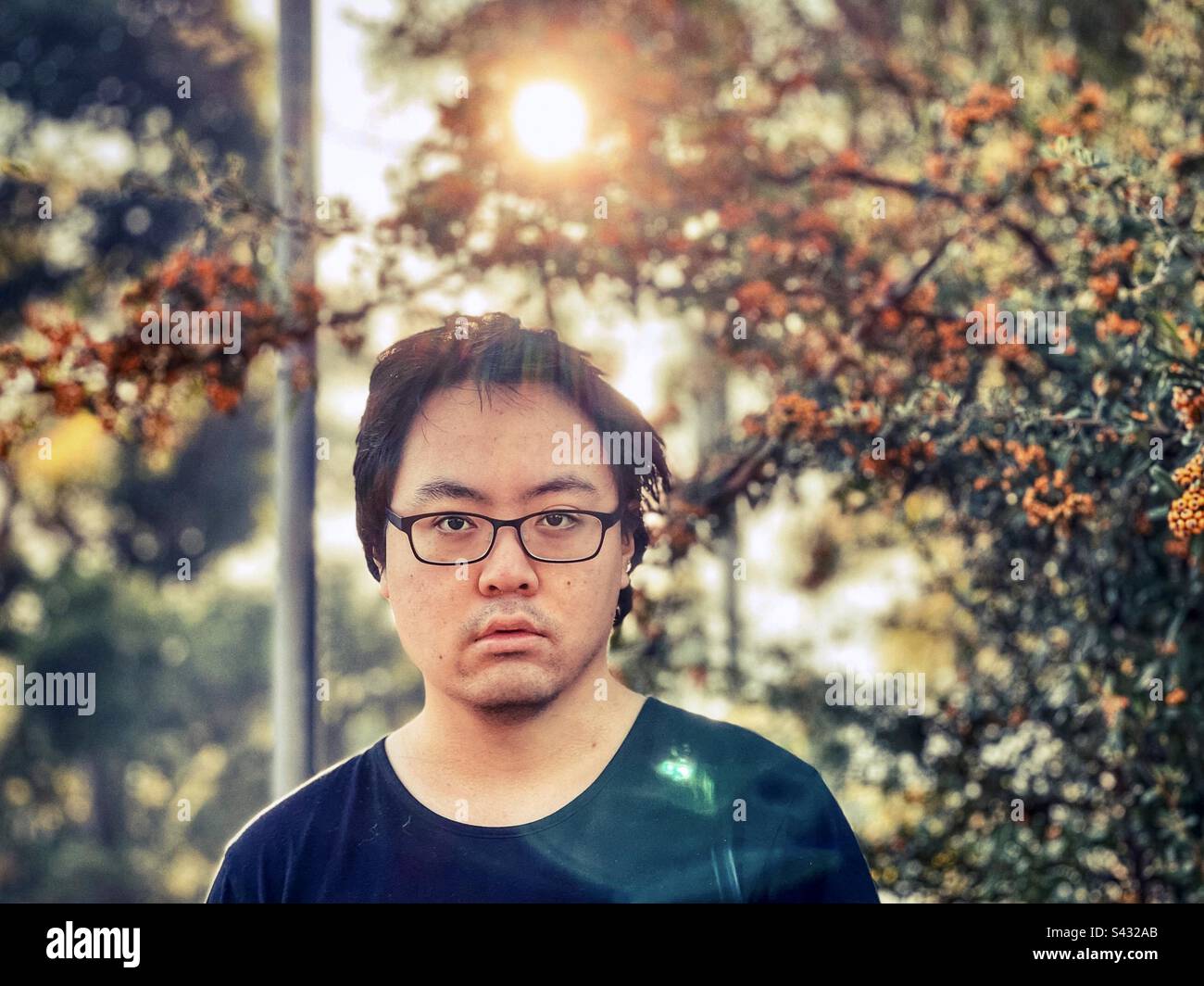 Portrait of young Asian man standing against Cotoneaster berry shrub and rising sun in autumn. Stock Photo
