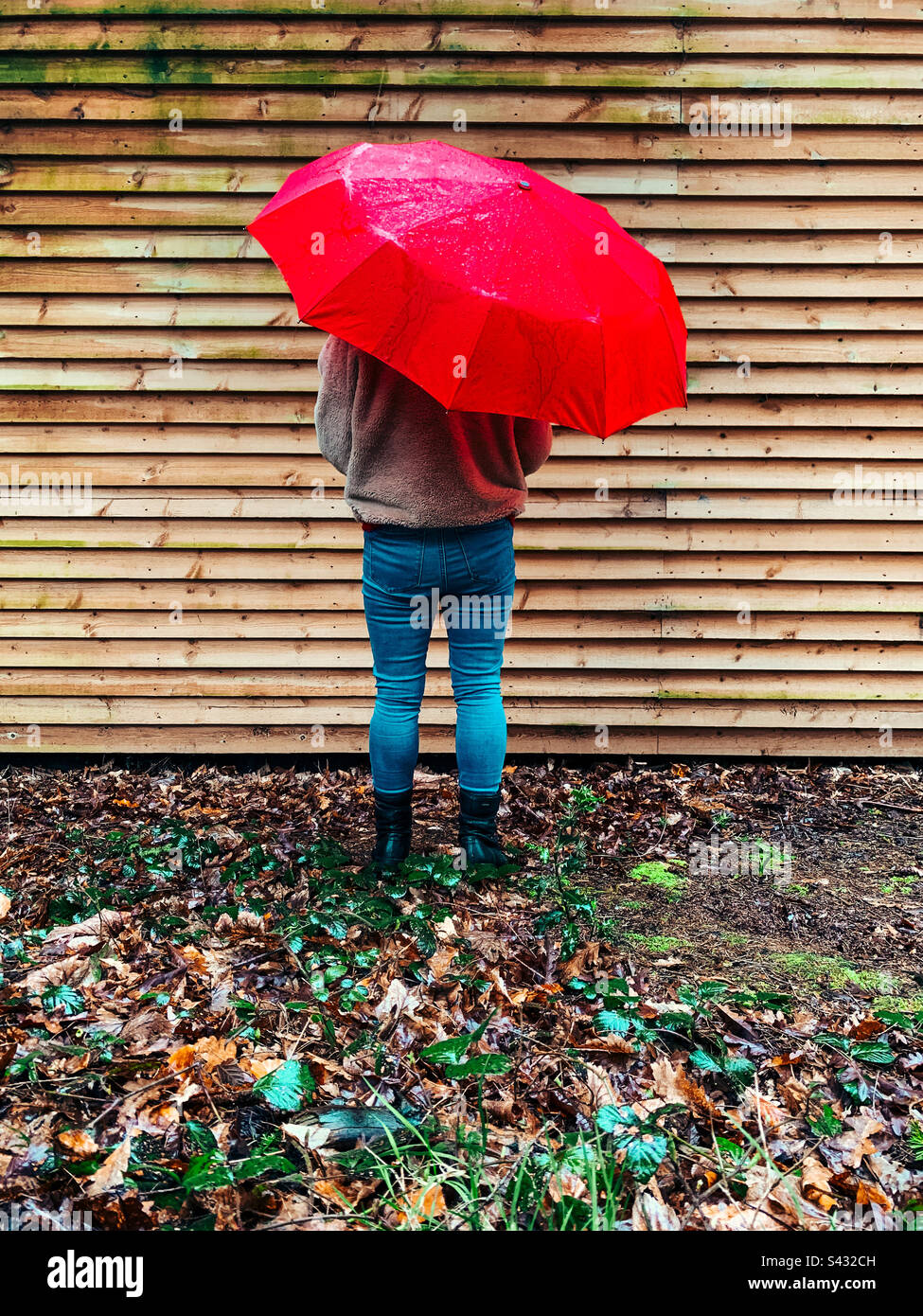 Rear view of a woman holding a red umbrella - Smartphone Captured Stock Image