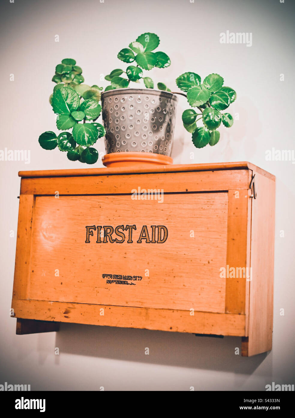A retro first aid kit on the wall with a houseplant - Smartphone Captured Stock Image