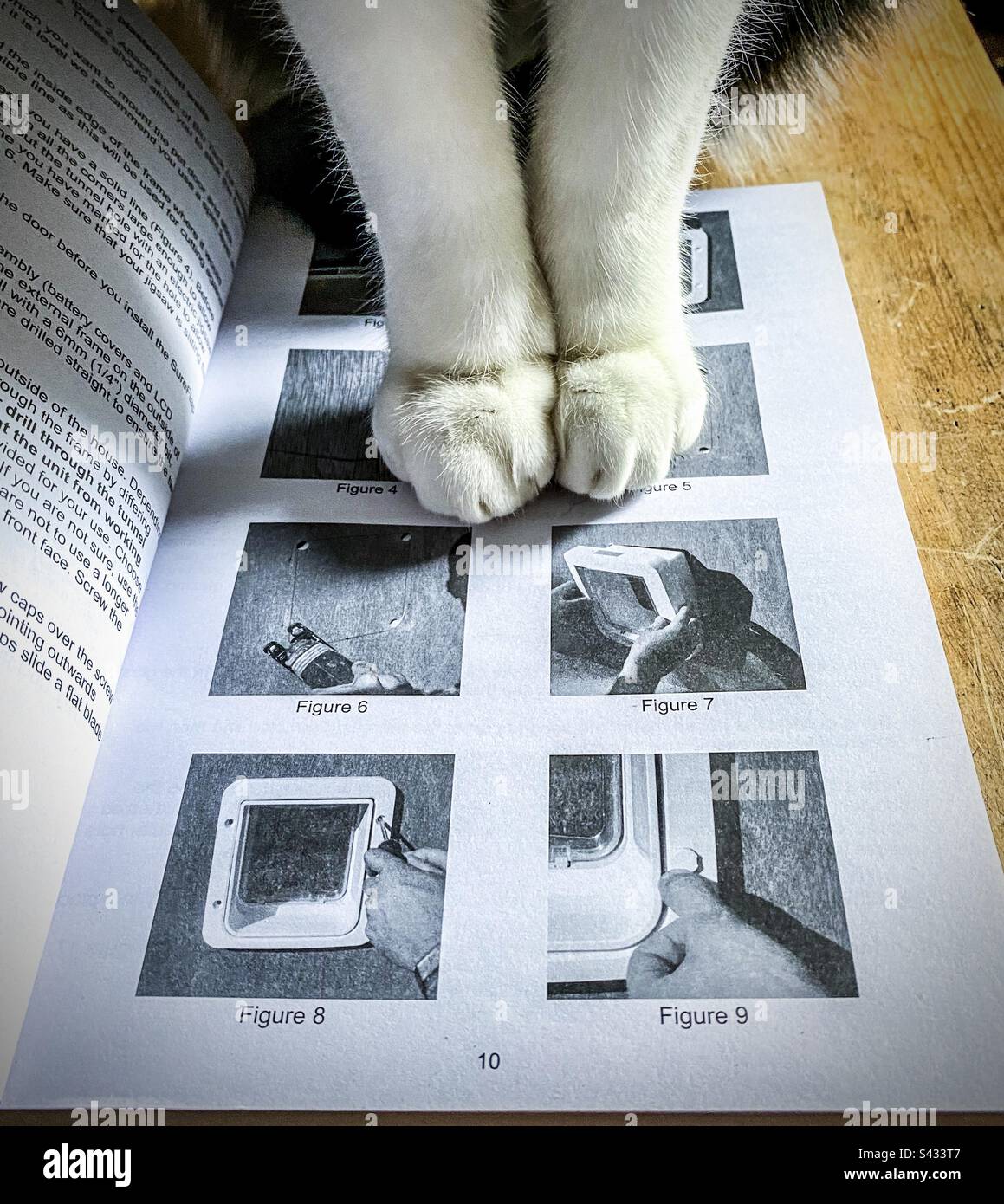 A cats paws sitting on the instructions of how to install a cat flap - Smartphone Captured Stock Image