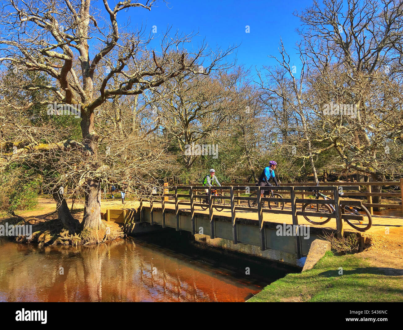 Cyclists riding on bridge in springtime over Lymington river in the New Forest National Park Brockenhurst Hampshire United Kingdom - Smartphone Captured Stock Image