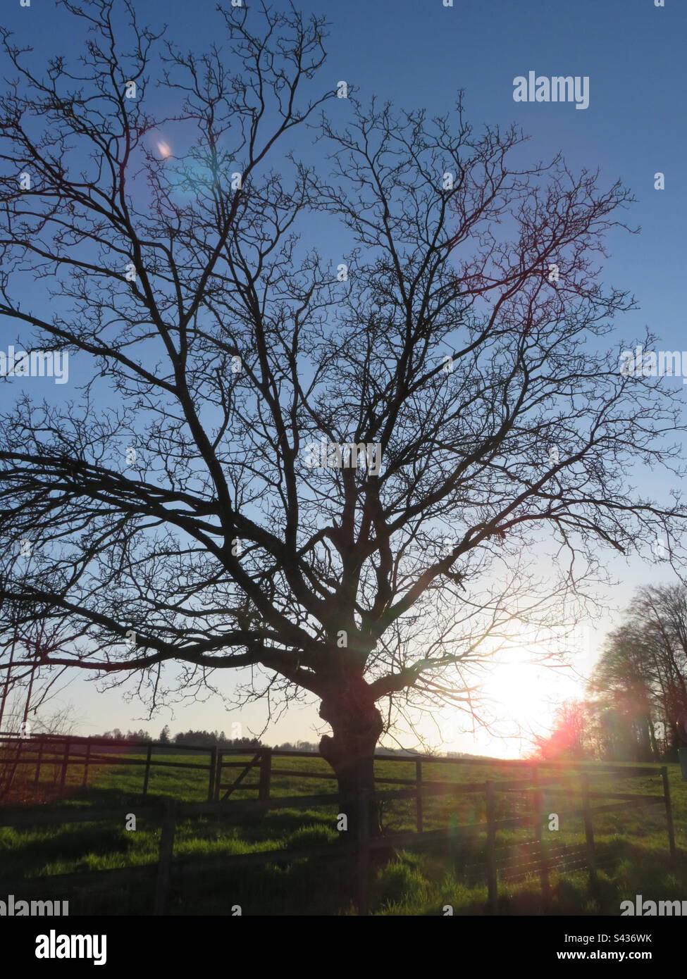 Sunset Landscape - Smartphone Captured Stock Image