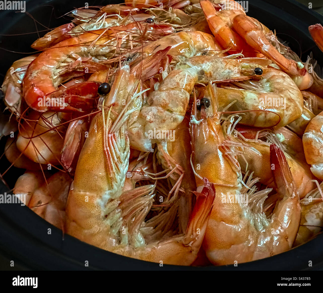 Bowl of cooked shrimp during a seafood feast - Smartphone Captured Stock Image