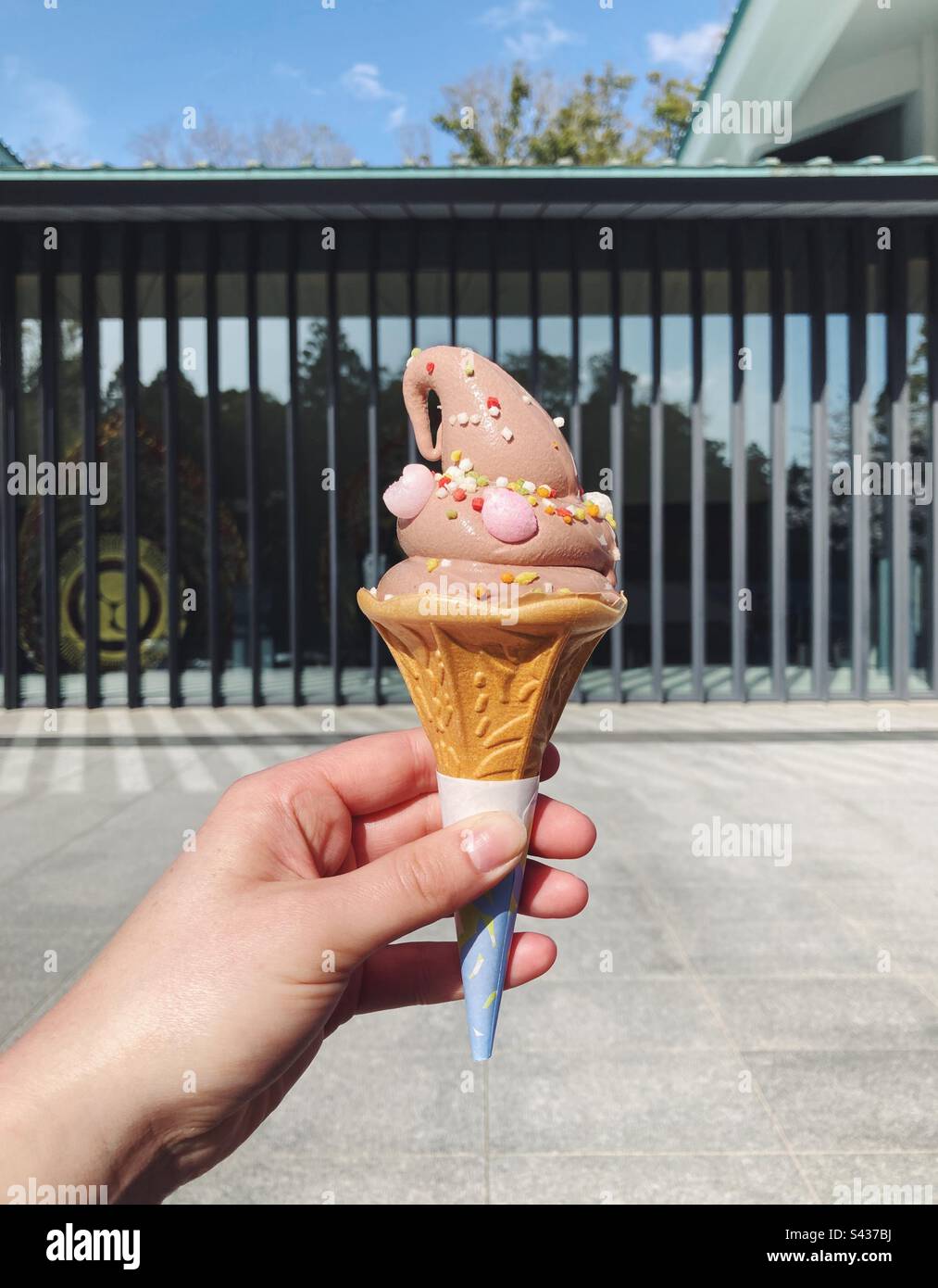 Bj's Ice Cream Cones edu.svet.gob.gt