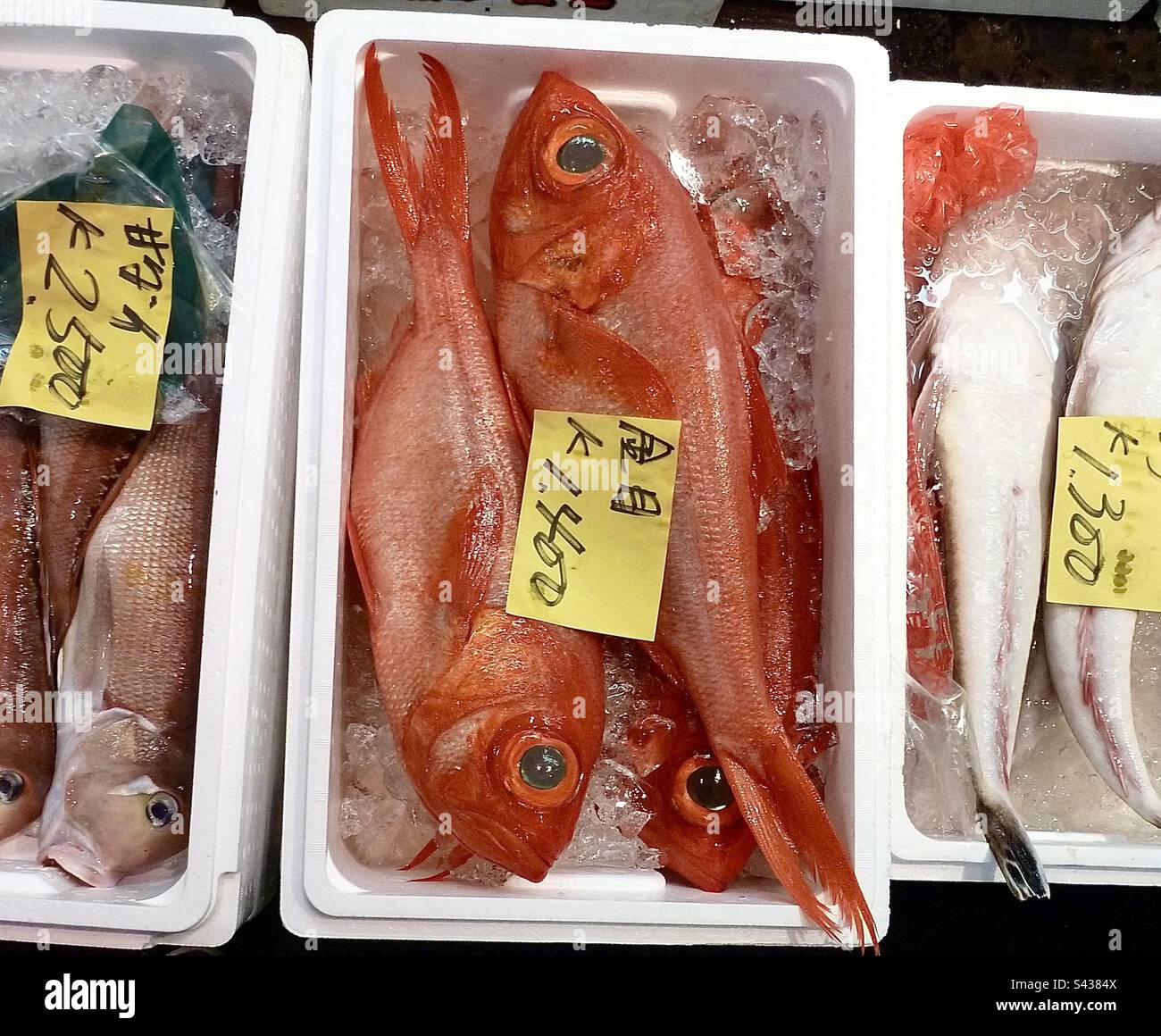 Selection of fresh raw fish for sale in ice boxes at a Japanese seafood