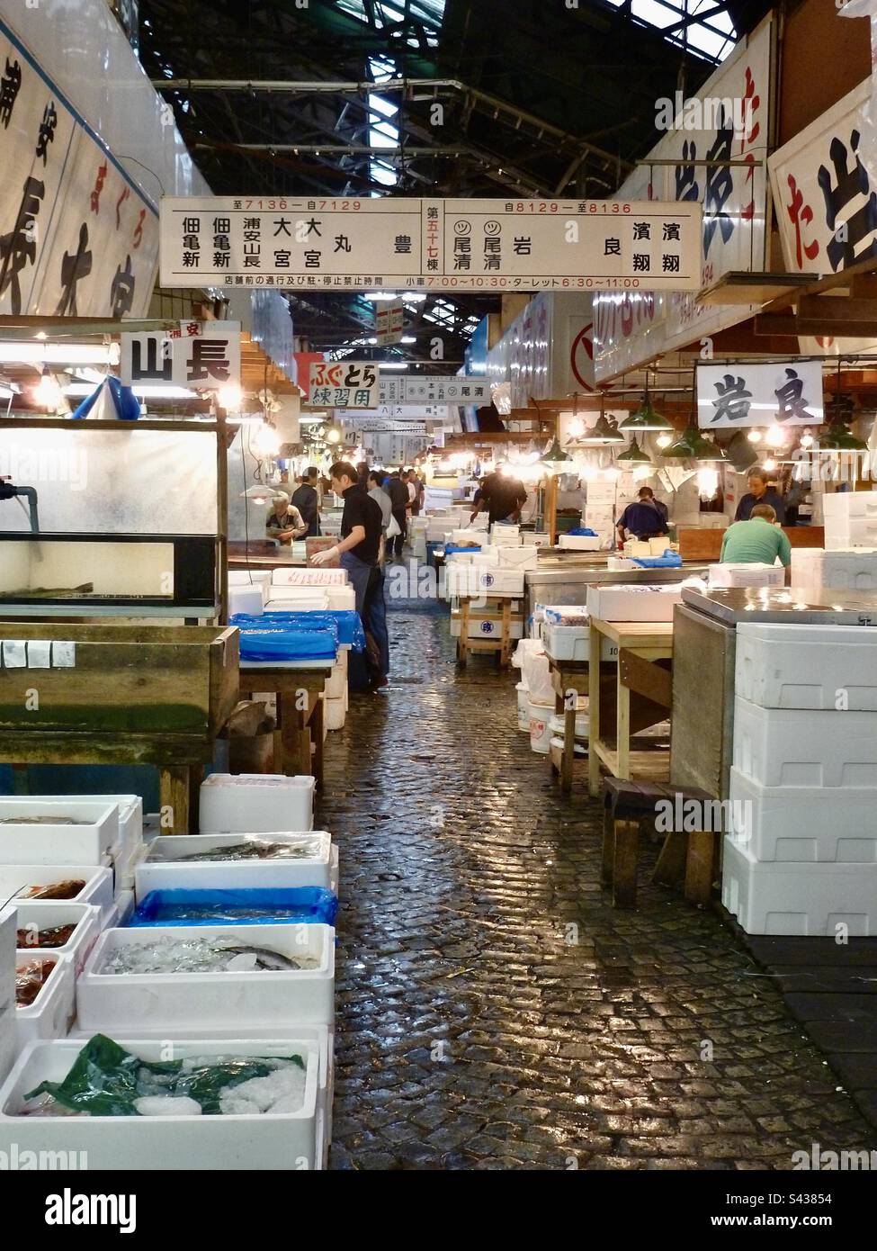 Inside Japanese fish market in Tokyo Stock Photo Alamy