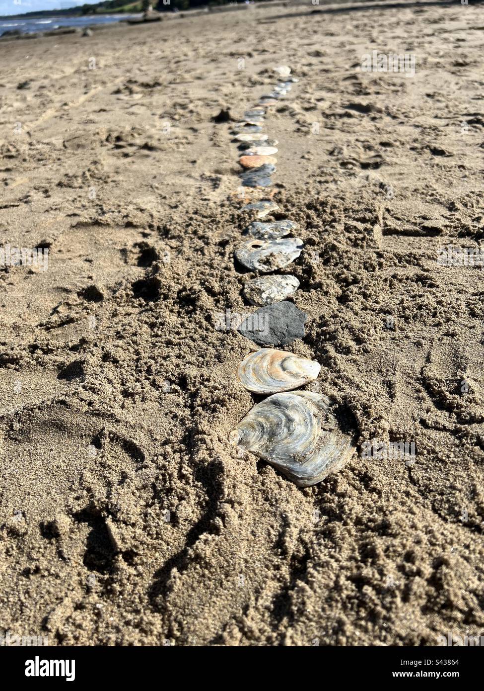 Sea shell’s aligned in the sand by kids playing on the beach Stock Photo