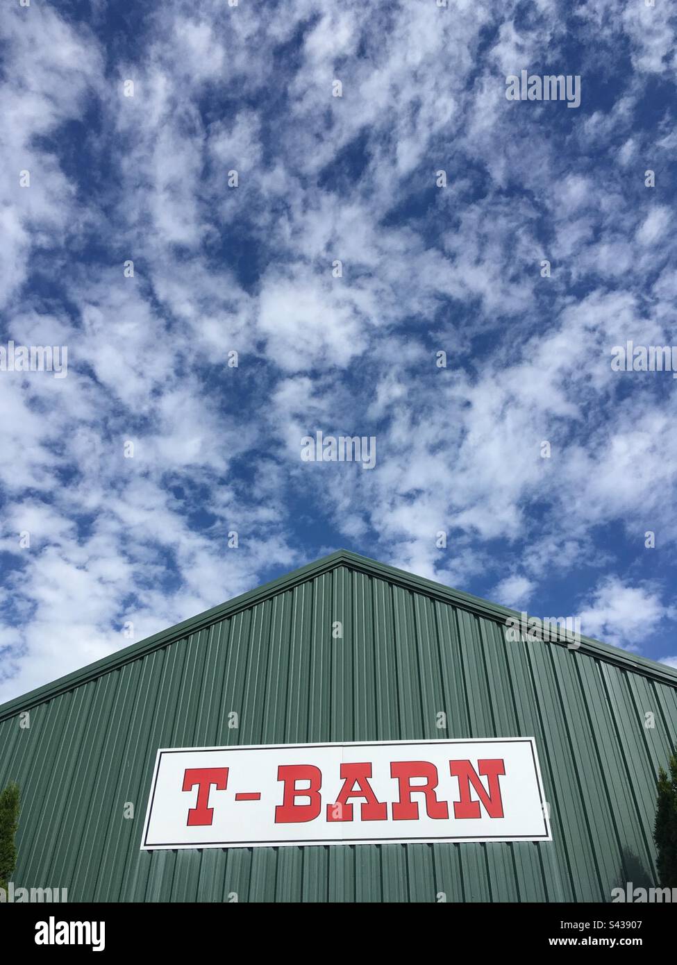 Looking up at green barn (with metal siding) at Durham Fair in Durham, Connecticut. Beautiful blue sky with fluffy clouds. Big sign with red letters says: T-BARN - Smartphone Captured Stock Image