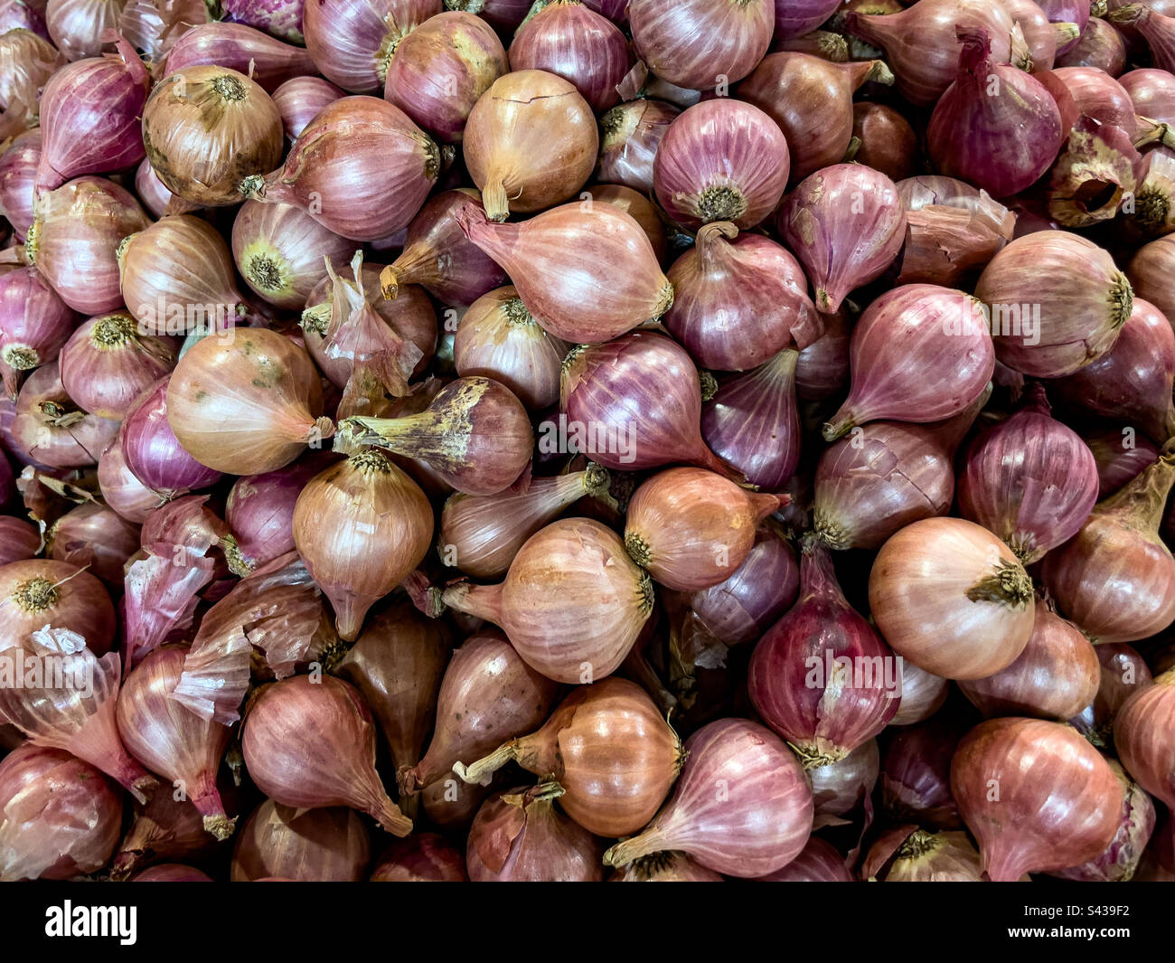 Red onions for sale, Central Market, Port Louis, Mauritius Stock Photo