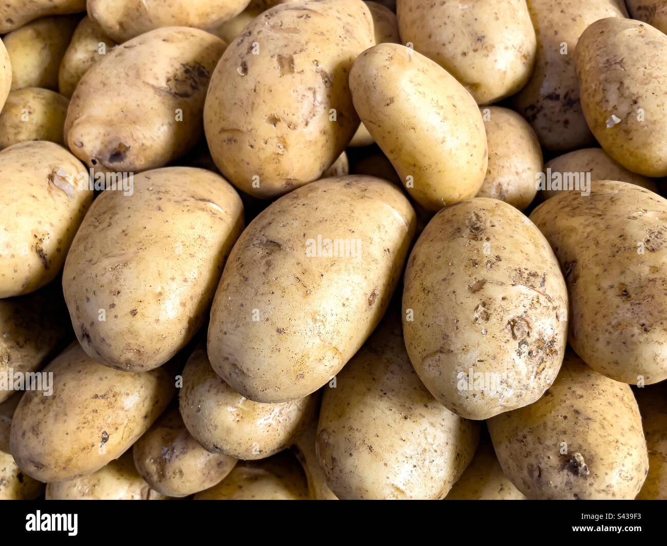 Fresh potatoes for sale, Port Louis Central Market, Mauritius Stock Photo