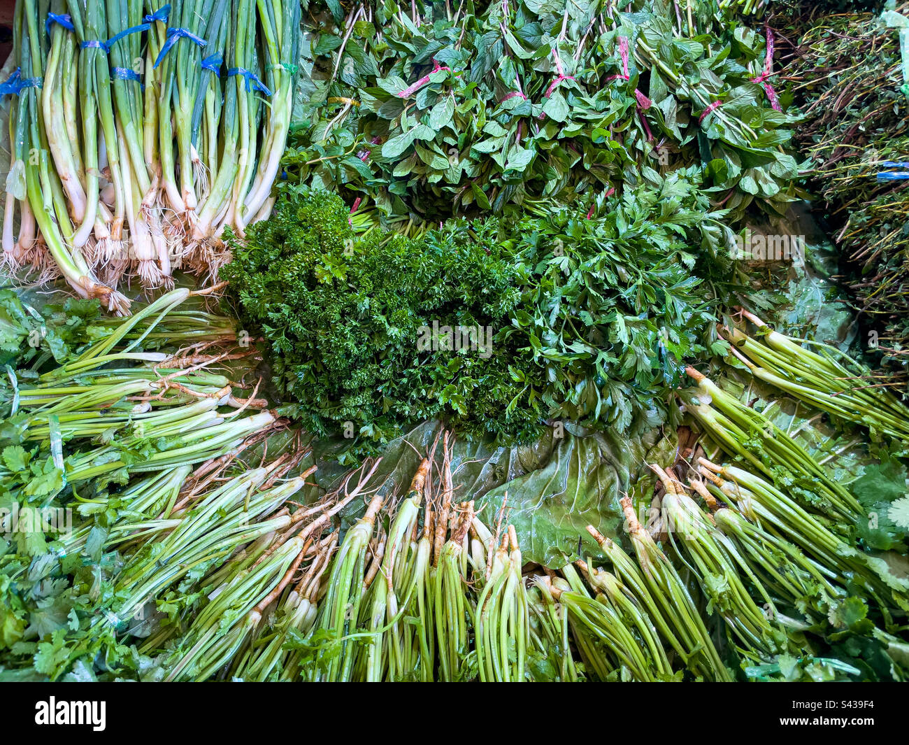 Herbs and coriander for sale, Central Market, Port Louis, Mauritius - Smartphone Captured Stock Image