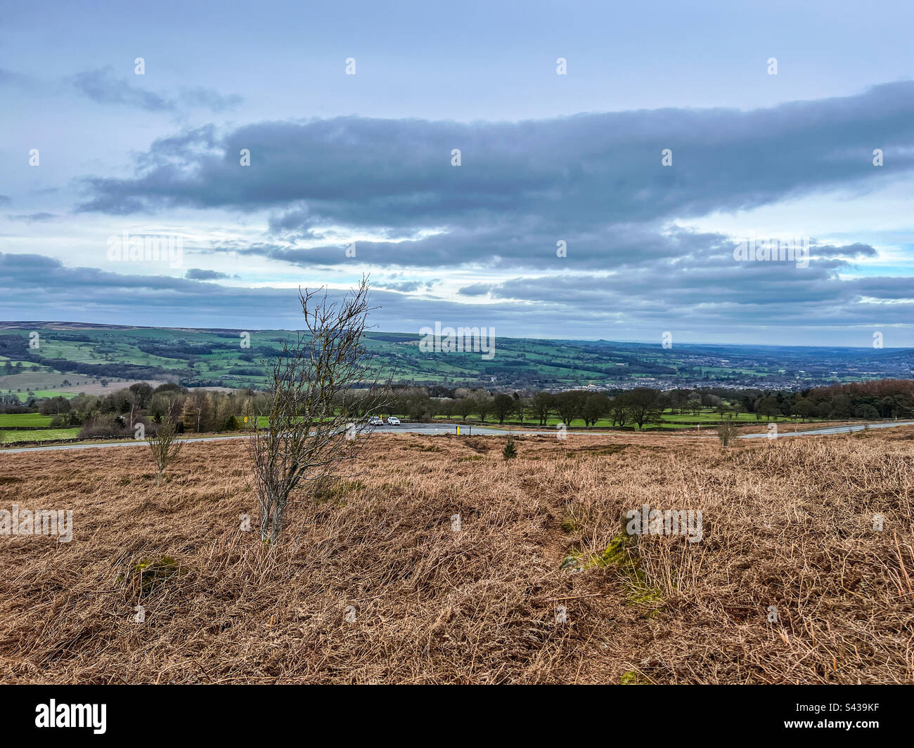 Ilkley moor in North York moors - Smartphone Captured Stock Image