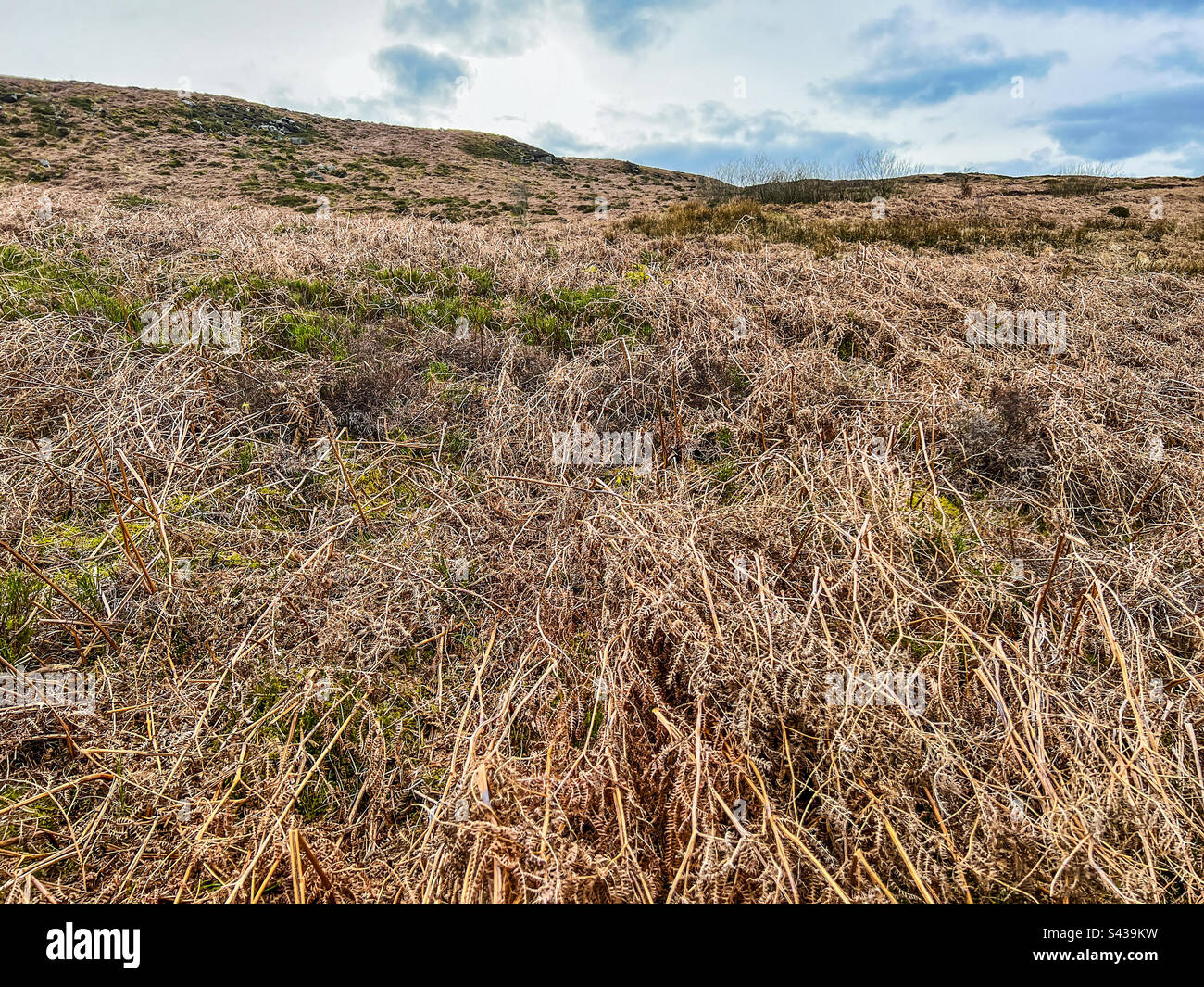 Ilkley moor countryside in North York moors - Smartphone Captured Stock Image