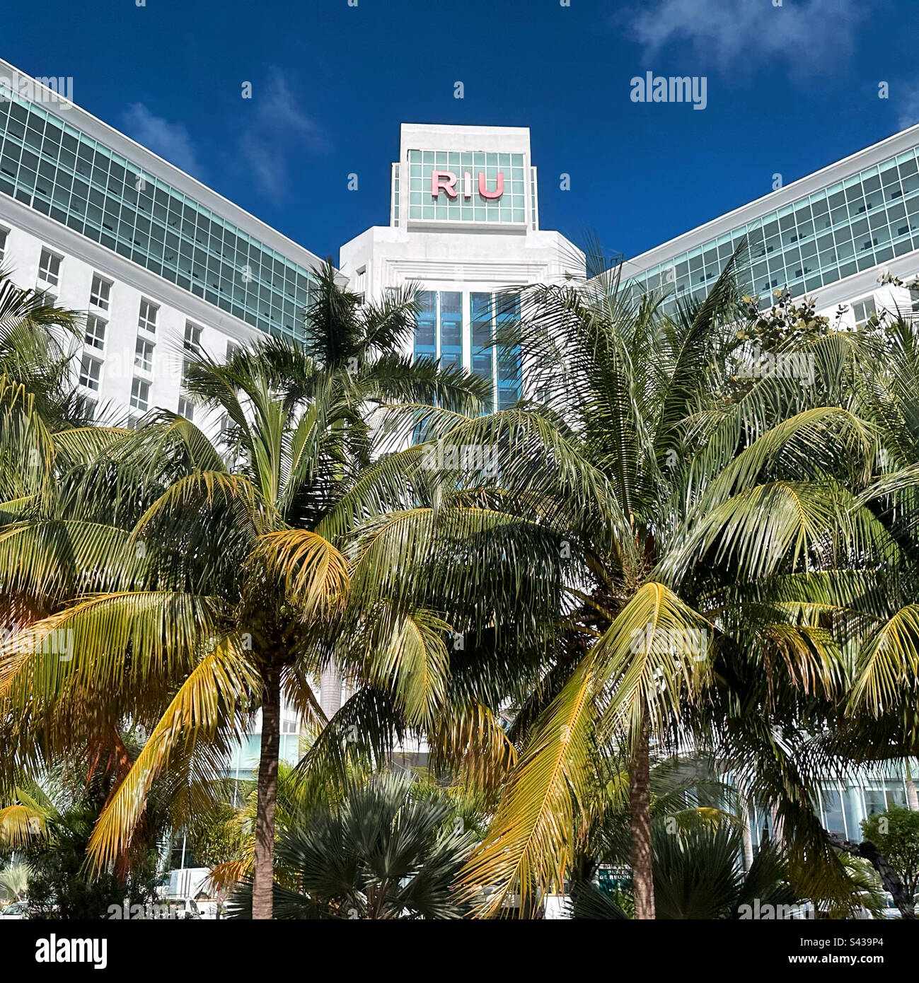 Hotel Riu Cancun, Hotel Zone, Cancun, Quintana Roo, Mexico Stock Photo