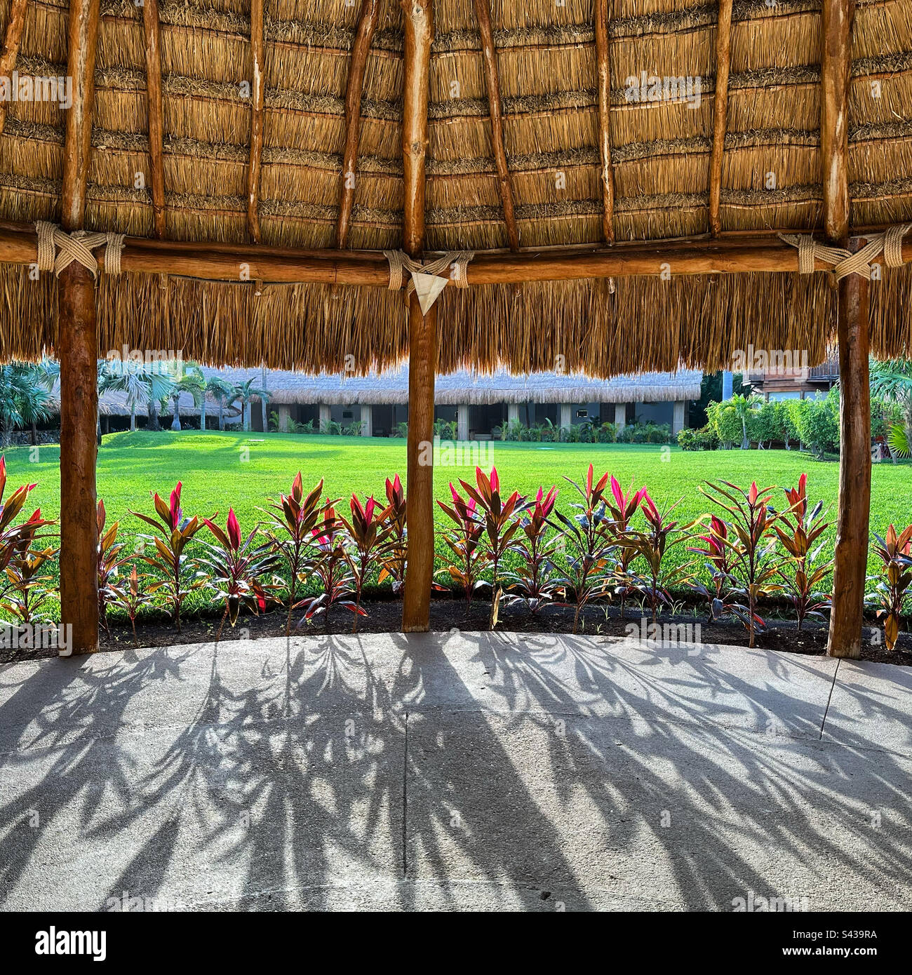 January, 2023, A shaded area between the rooms and the pools and ocean, Intercontinental Presidente Cancun Resort, Hotel Zone, Cancun, Quintana Roo, Yucatan Peninsula, Mexico - Smartphone Captured Stock Image