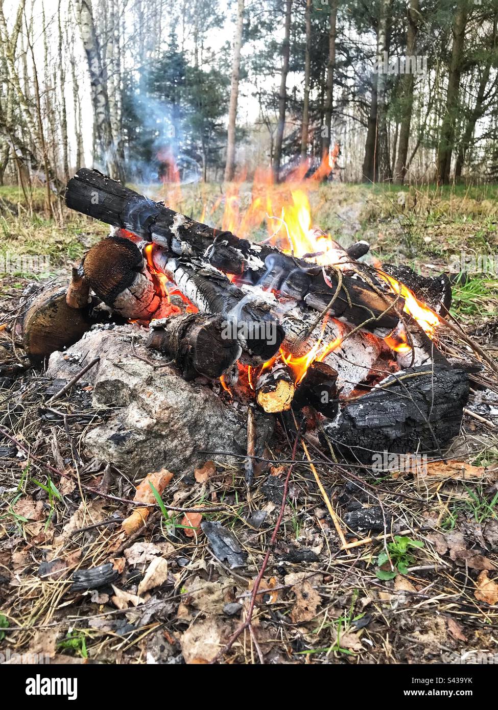 Camp fire in a forest clearing in Spring - Smartphone Captured Stock Image