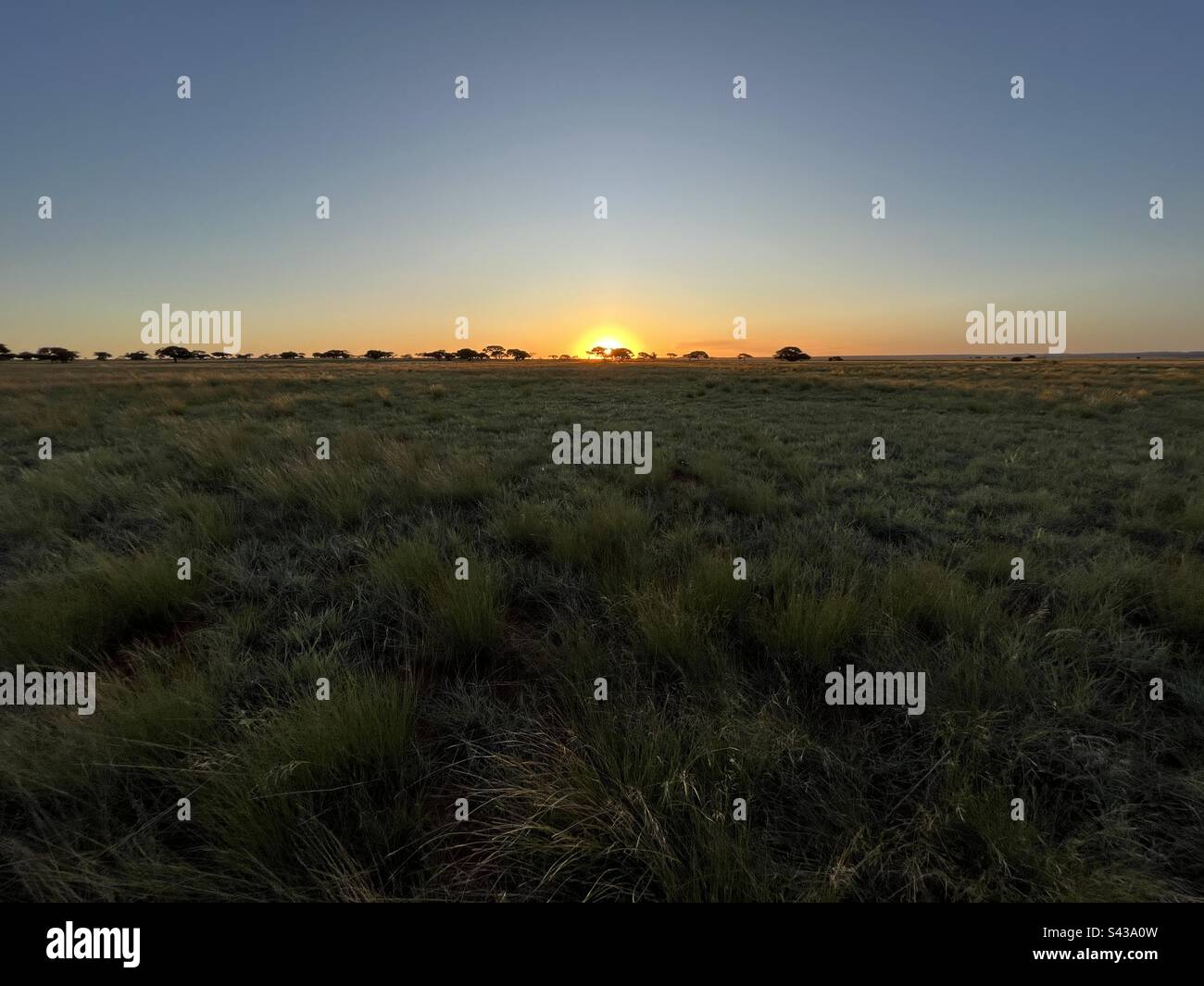 Sunrise in the African bush Stock Photo