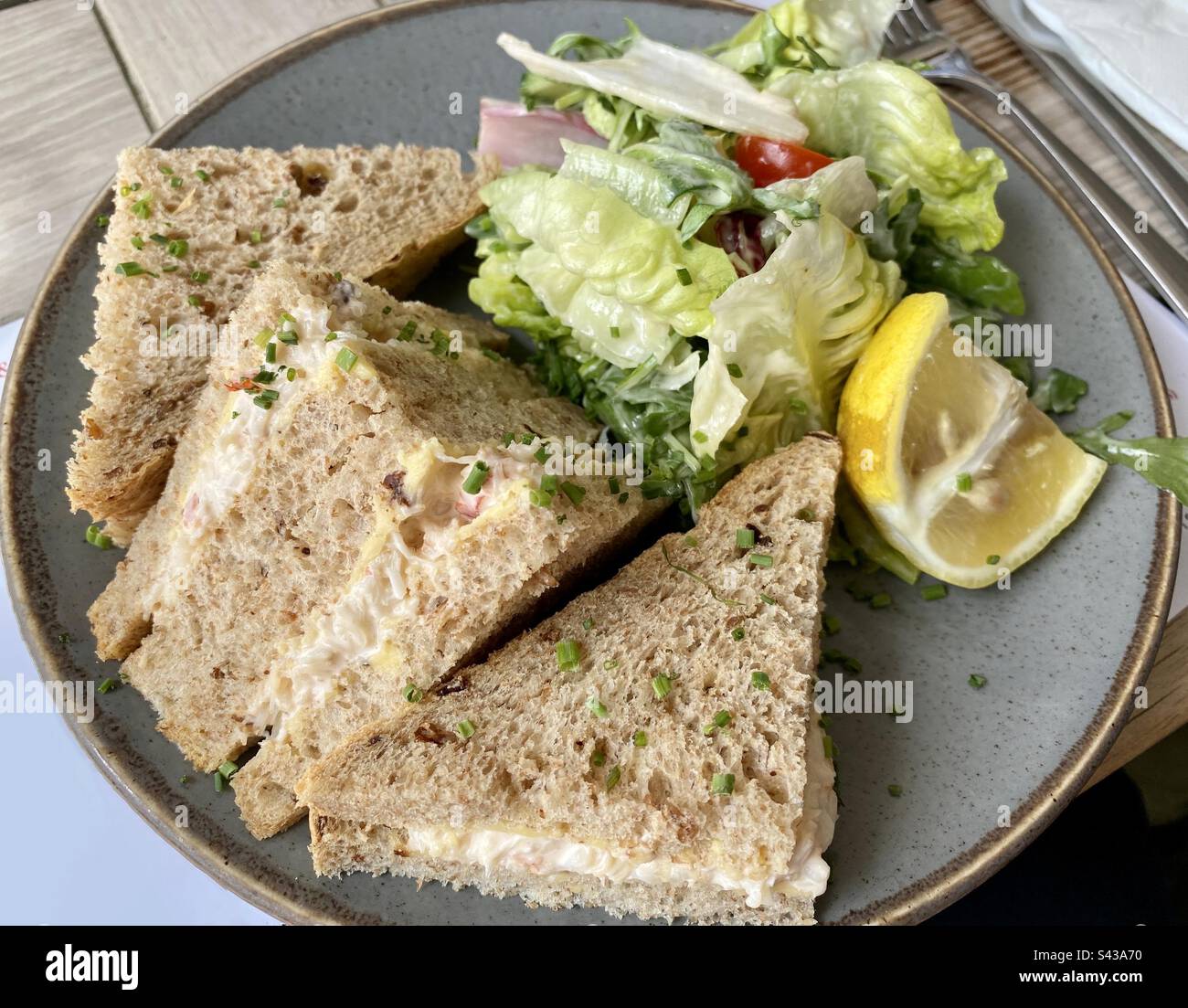 Fresh crab sandwich on a plate with salad - Smartphone Captured Stock Image