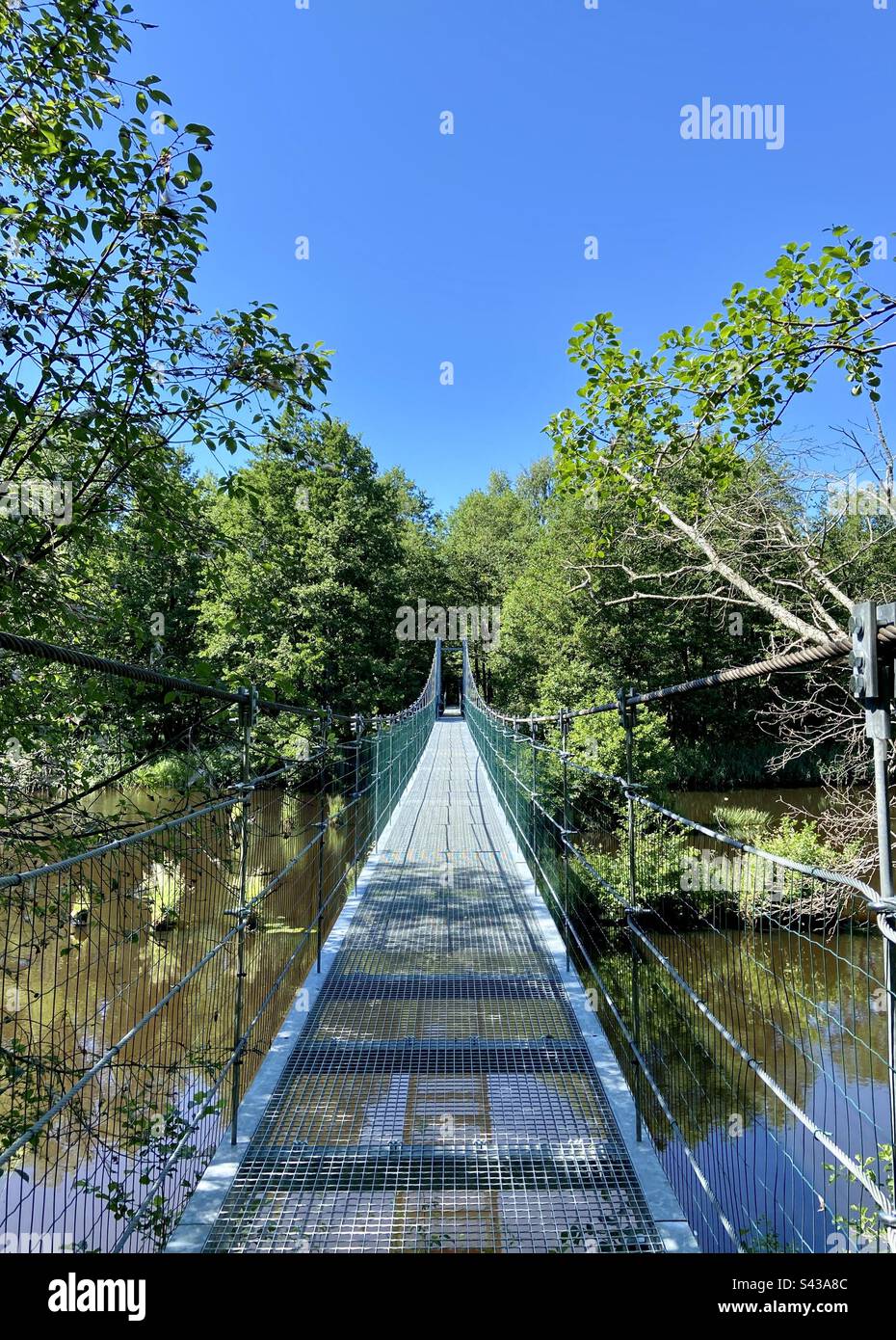 Shot of a steel walking bridge over river Irbe in Kurzeme, Latvia on a sunny summer day. Stock Photo