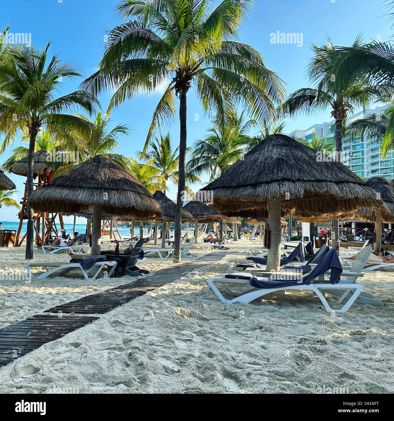 Palapas and palm trees on the beach, Hotel Zone, Cancun, Quintana Roo, Yucatan Peninsula, Mexico - Smartphone Captured Stock Image