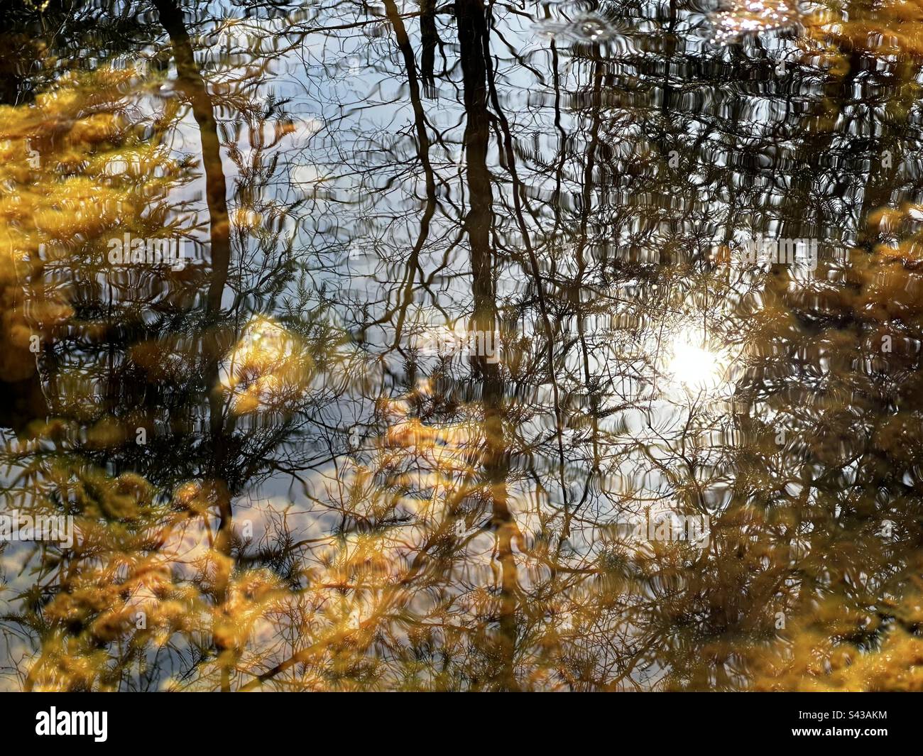 Reflection on water’s surface - Smartphone Captured Stock Image Reflection on water’s surface - Smartphone Captured Stock Image