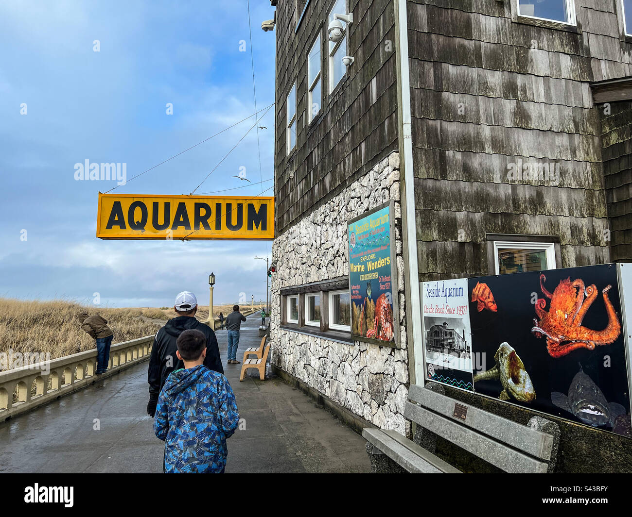 Aquarium in Seaside, Or - Smartphone Captured Stock Image
