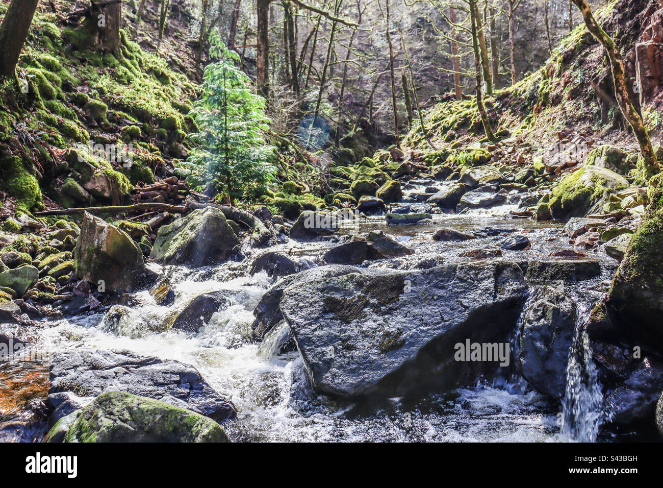 River flowing from Stanley Ghyll force Cumbria Stock Photo