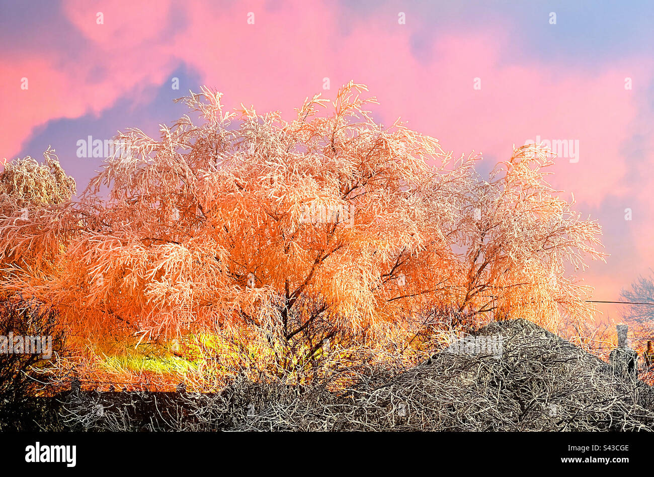 Sunrise and winter frost, double exposure - Smartphone Captured Stock Image