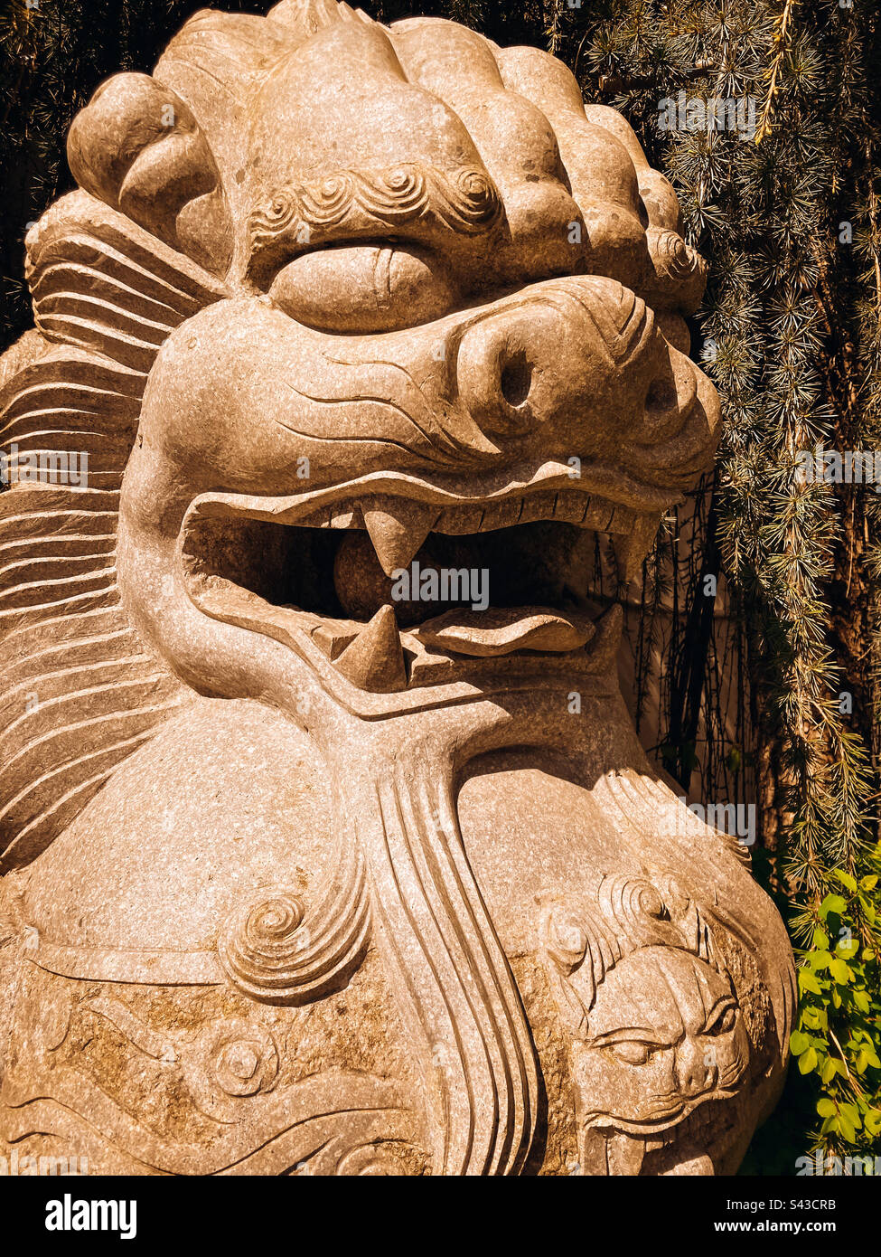 Chinese dragon Sculpture Stock Photo