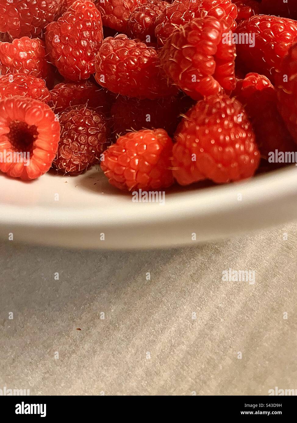 Fresh ripe raspberries in white bowl. Includes print space. - Smartphone Captured Stock Image
