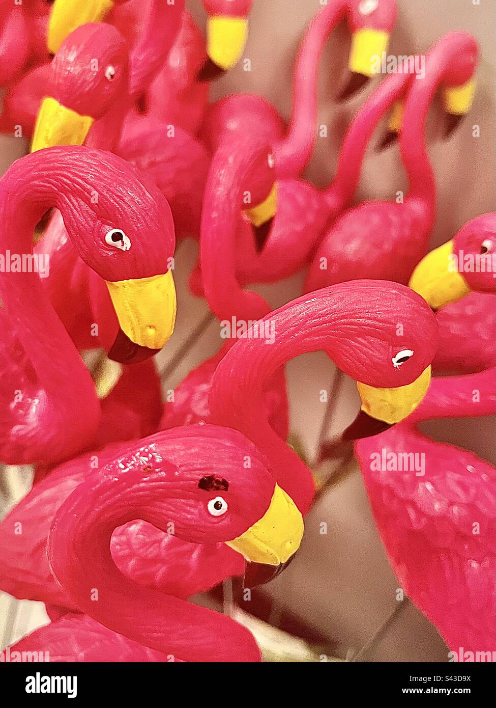 So many hot pink plastic garden flamingos. Stock Photo