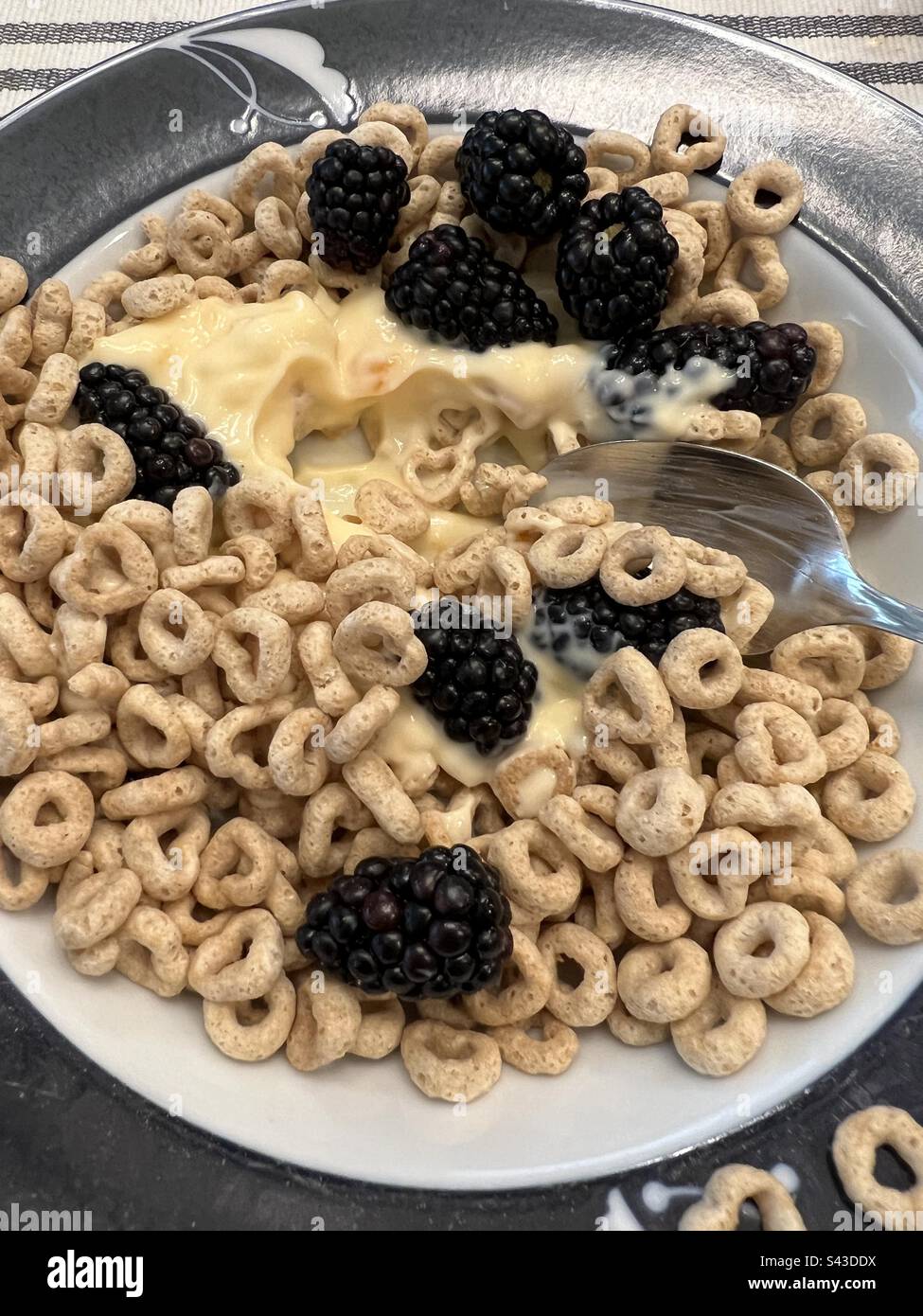 Bowl of oat cereal with yogurt and blackberries breakfast - Smartphone Captured Stock Image