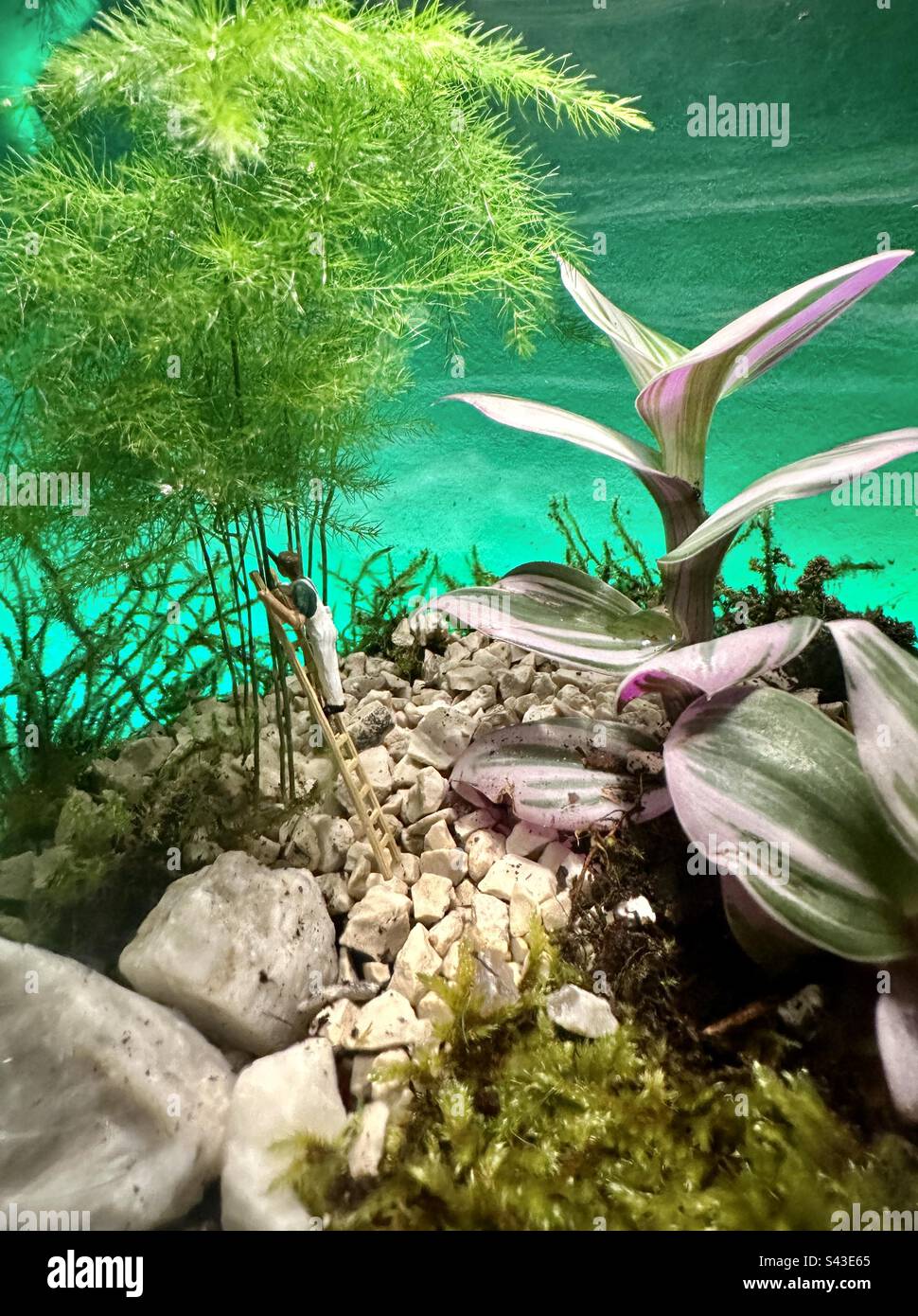 Miniature garden with a mini person cutting a plant - Smartphone Captured Stock Image